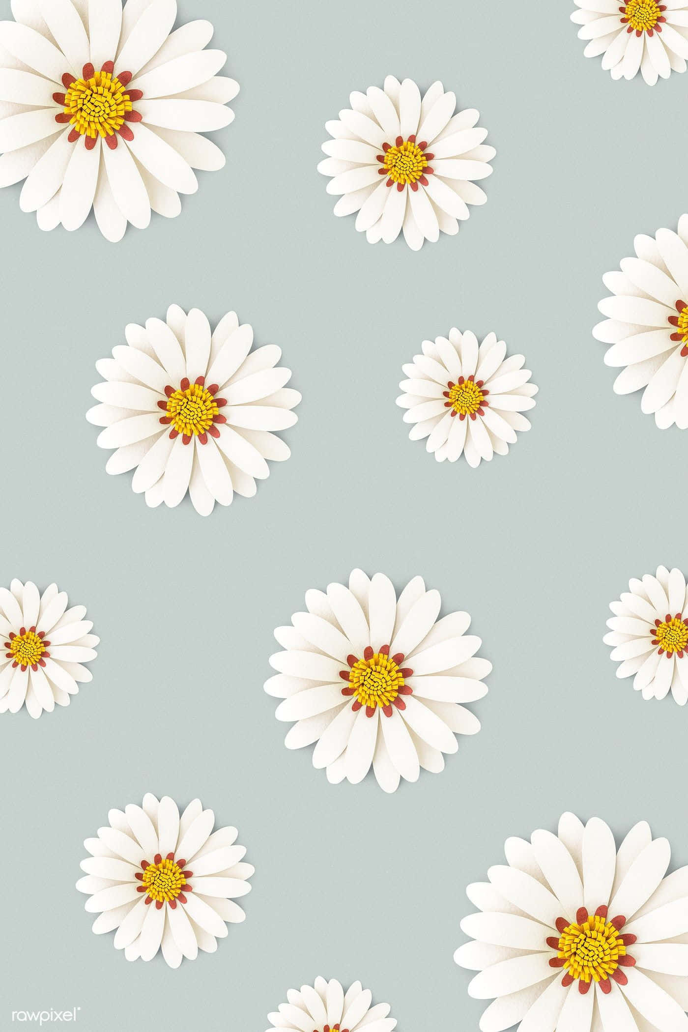 daisy, yellow, white, Full HD Phone Wallpaper