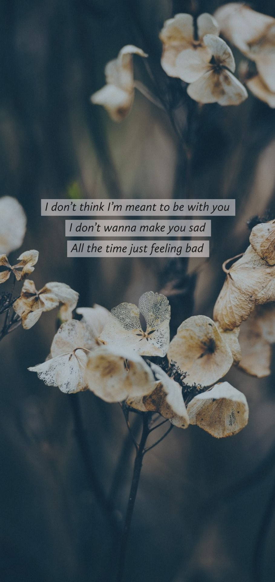 cuco, hydrangea, muted tones, Full HD Phone Wallpaper