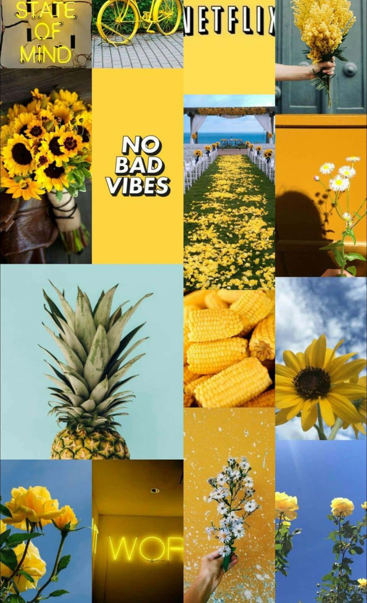sunflower, vibrant yellow, blue skies, Full HD Phone Wallpaper