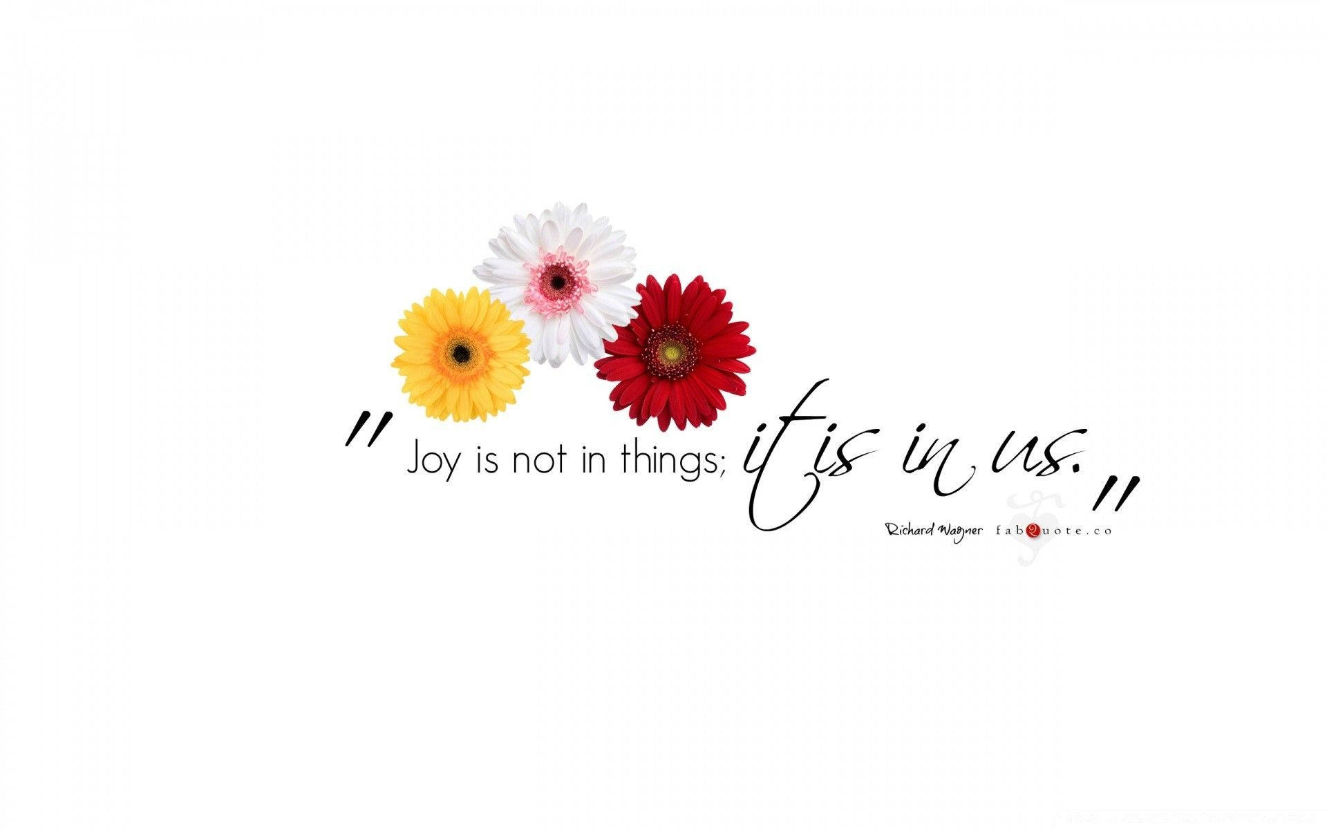 gerbera daisies, yellow white and red, quote about joy, Full HD Desktop Wallpaper