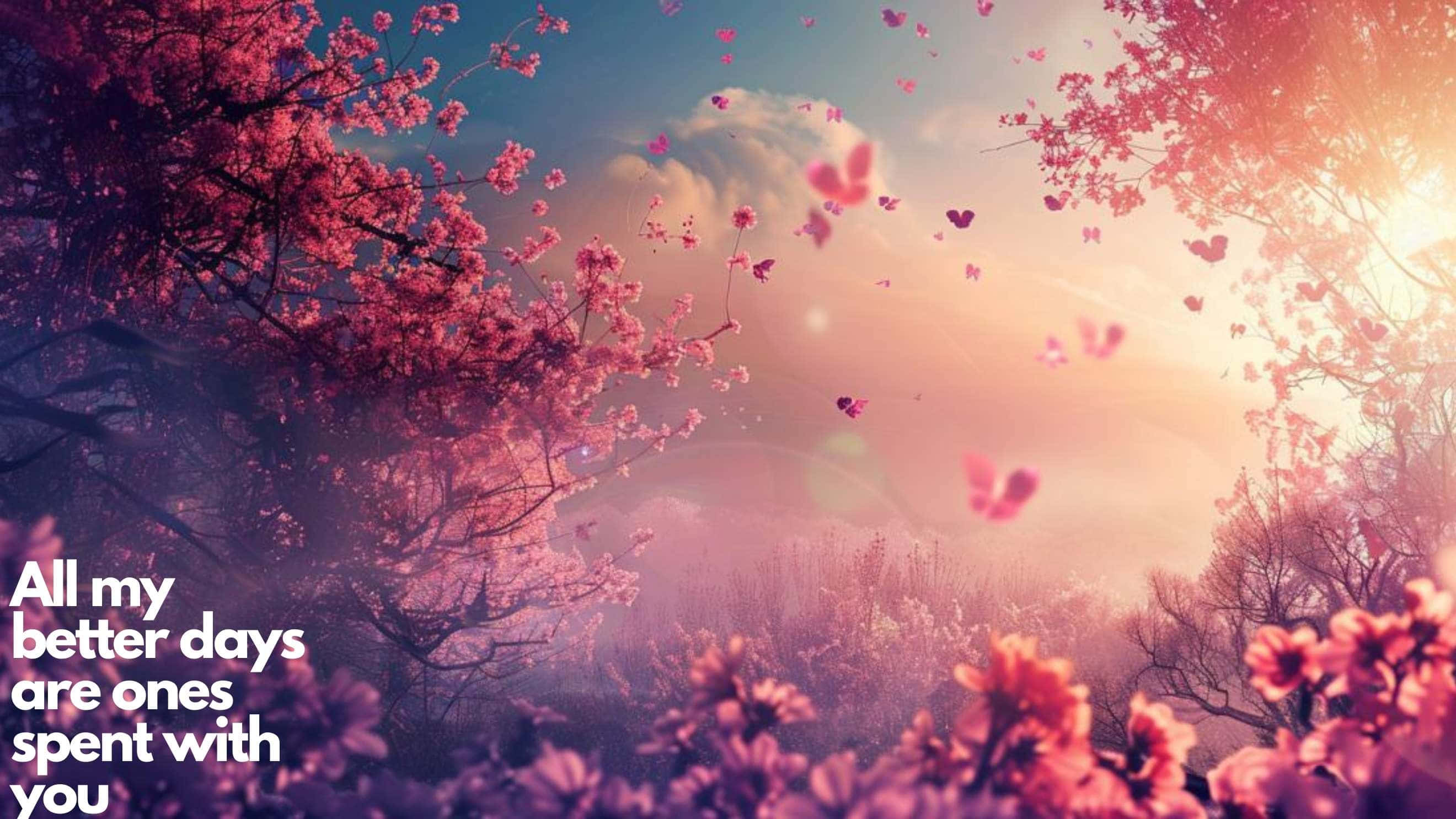 Romantic Blossom Quote Landscape, pink cherry blossoms, dreamy sunset sky, 2K Desktop Wallpaper