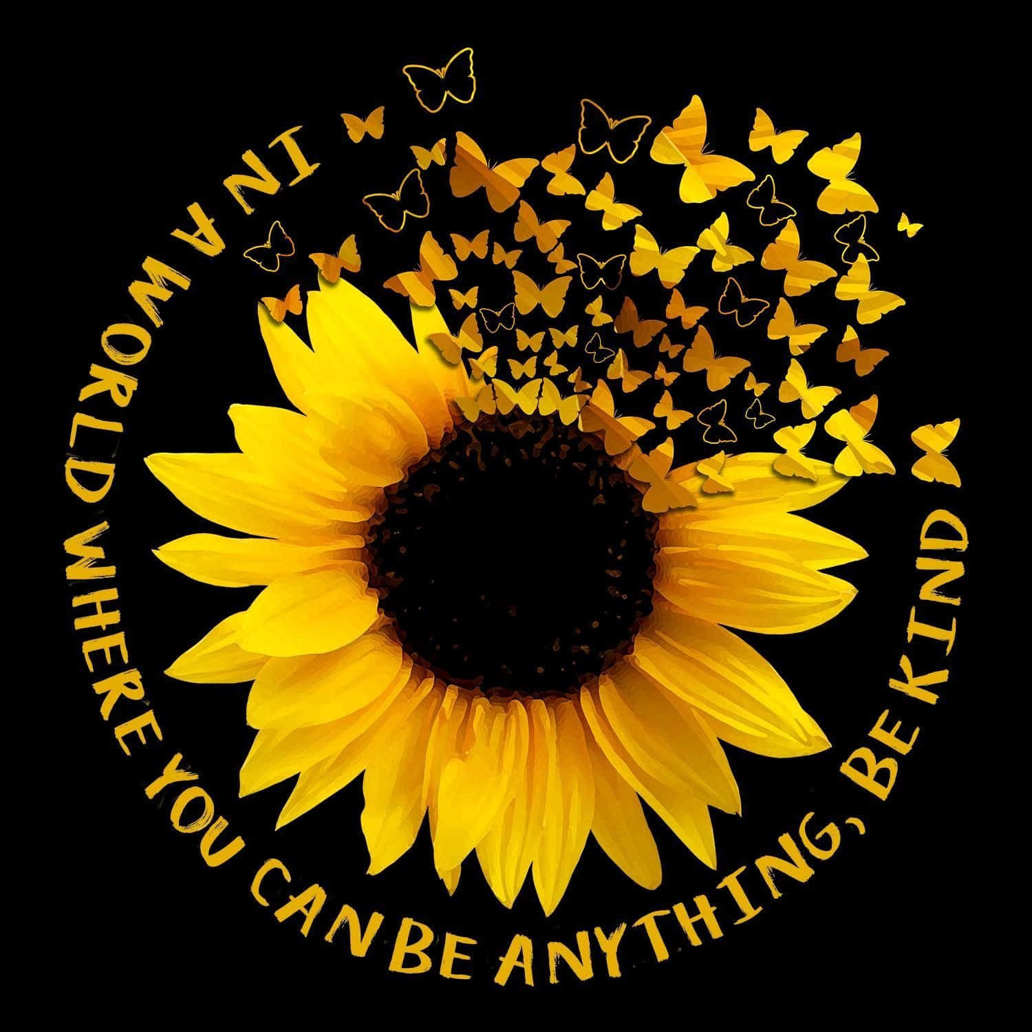 sunflower, golden butterflies, black background, HD Desktop Wallpaper