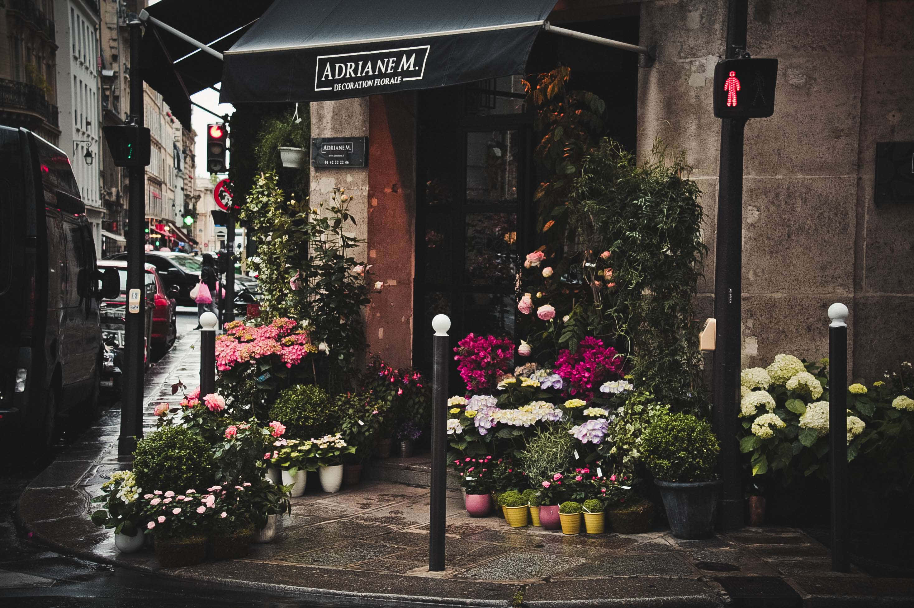 flower shop, European flower shop, colorful blooms, 2K Desktop Wallpaper