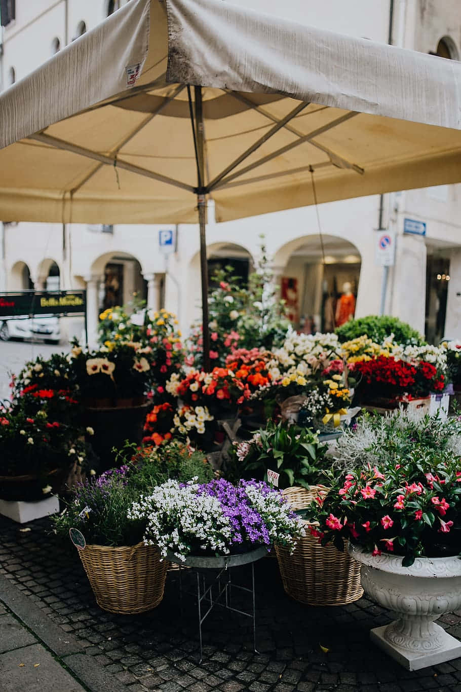 flower shop, beige canopy, cobblestone street, HD Phone Wallpaper
