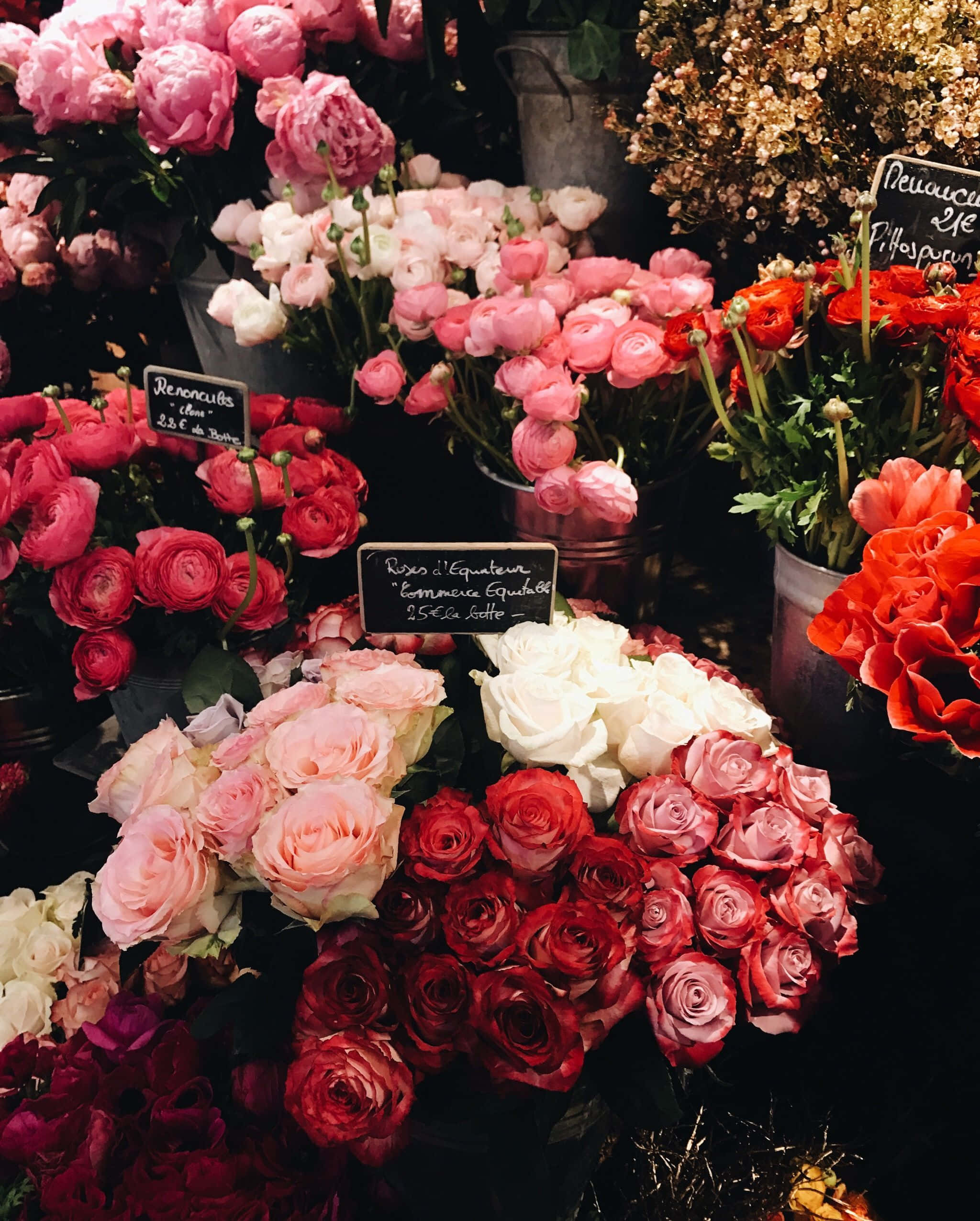 flower shop, roses, pink red, Full HD Phone Wallpaper