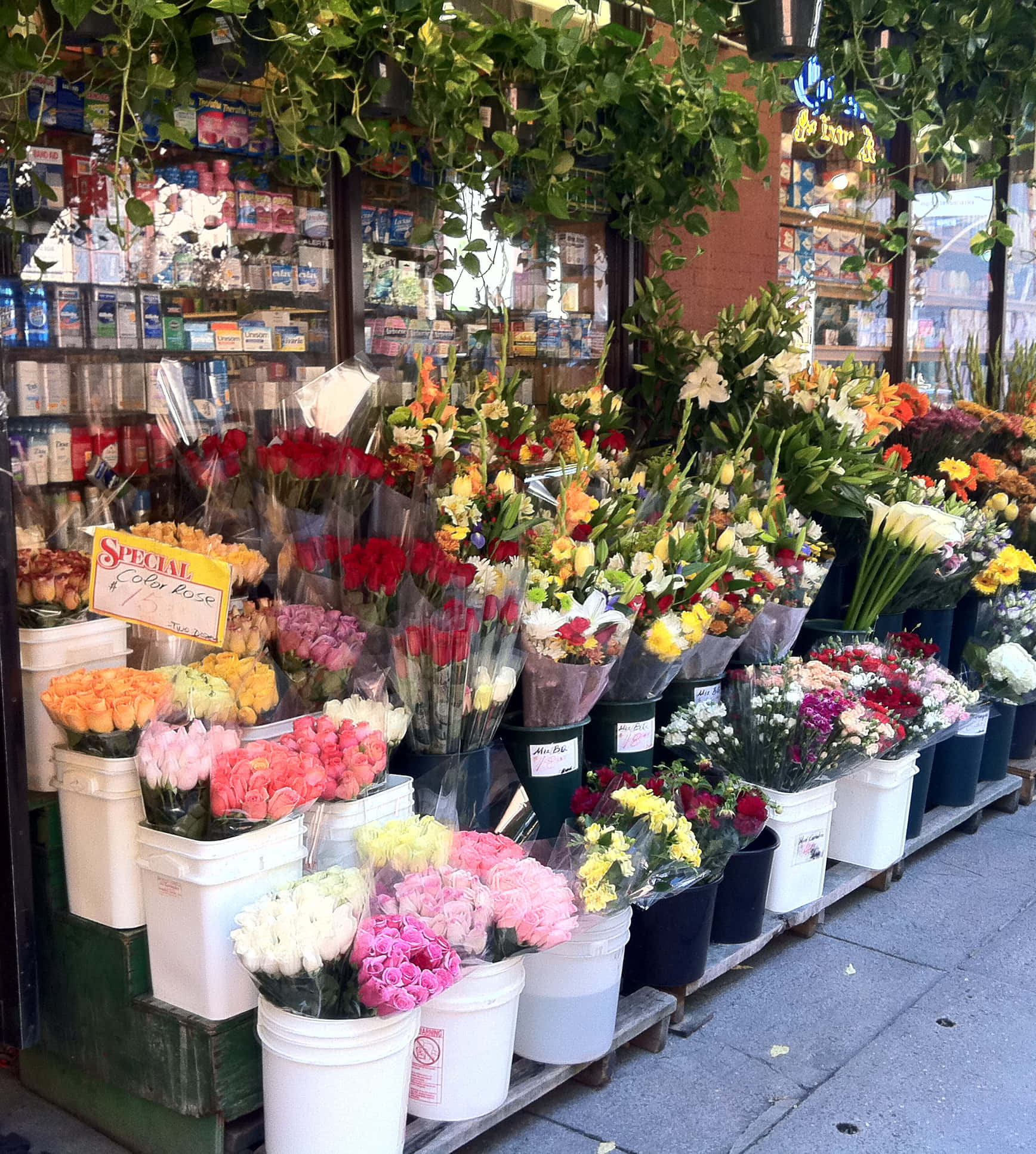 flower market, roses, lilies, Full HD Phone Wallpaper