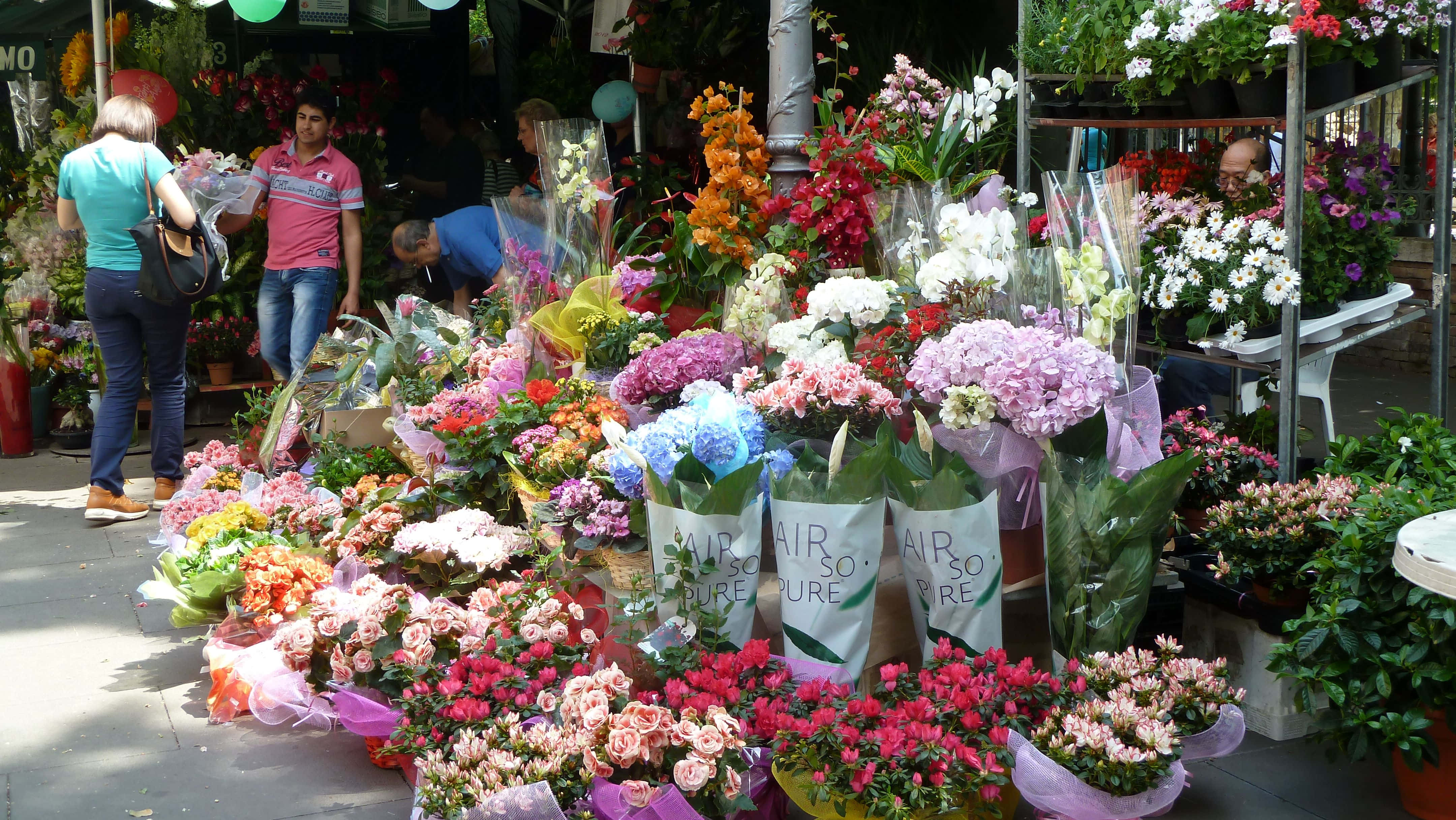 flower market, colorful blooms, bright daylight, 4K Desktop Wallpaper