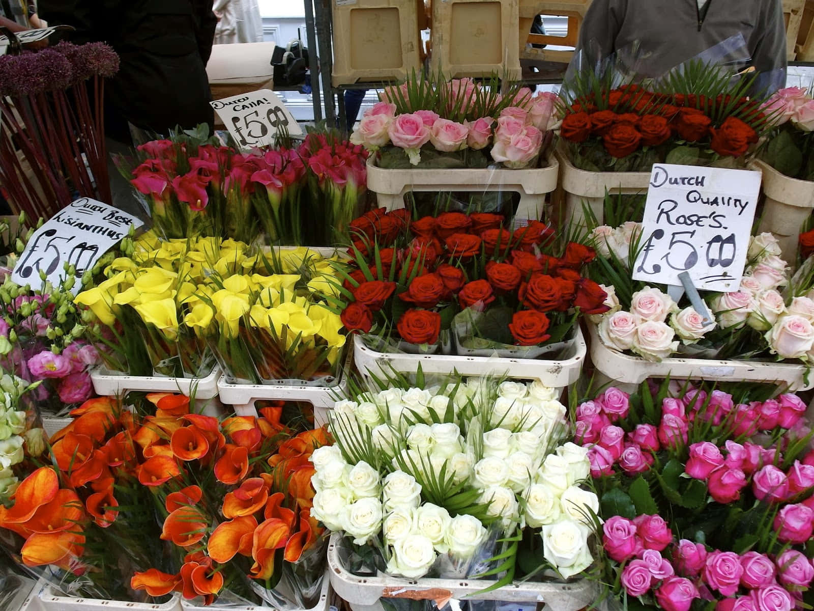 flower market, bustling market stall, colorful flowers, HD Desktop Wallpaper