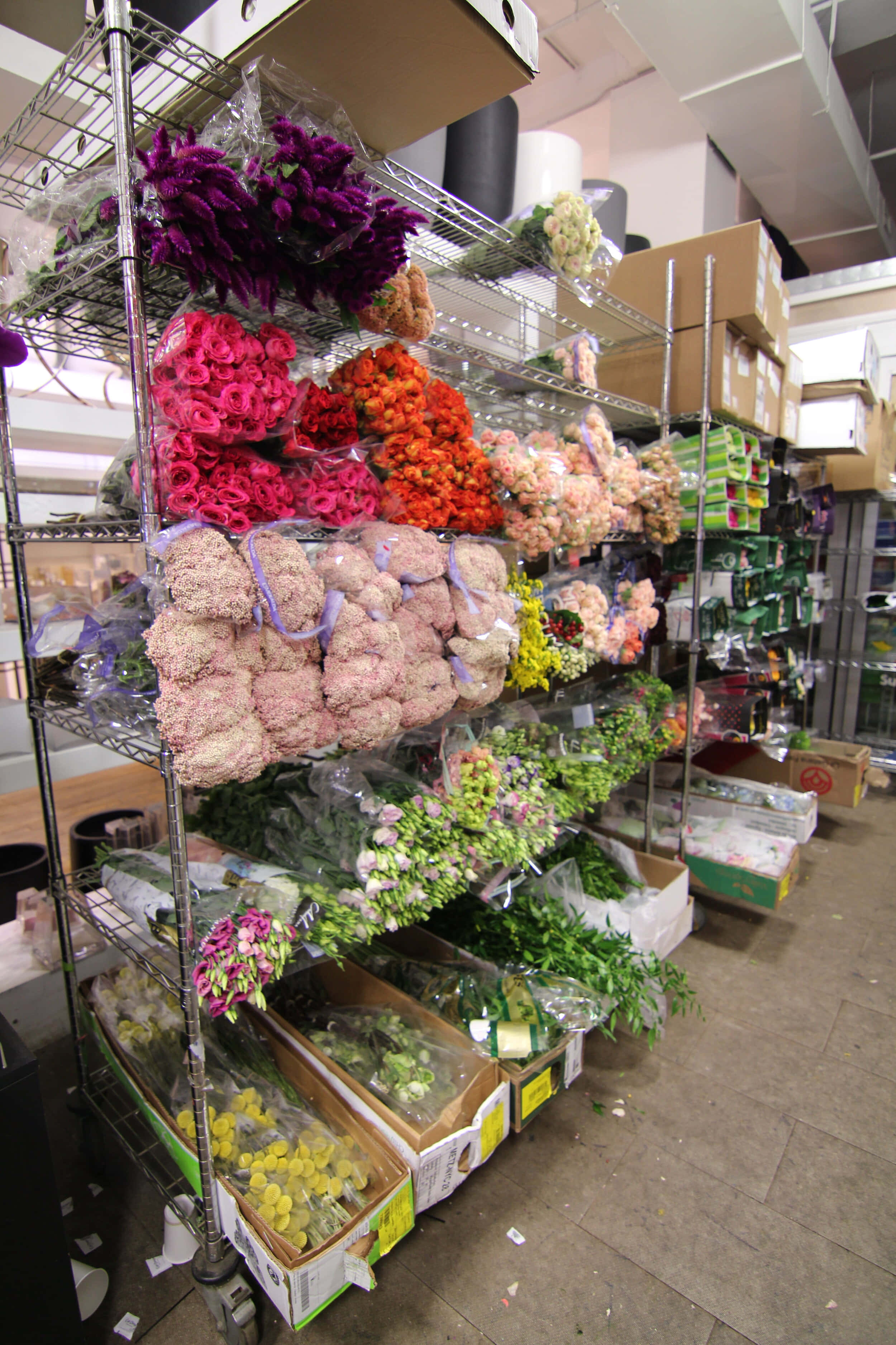 flower shop, colorful bouquets, plastic wrap, 2K Phone Wallpaper