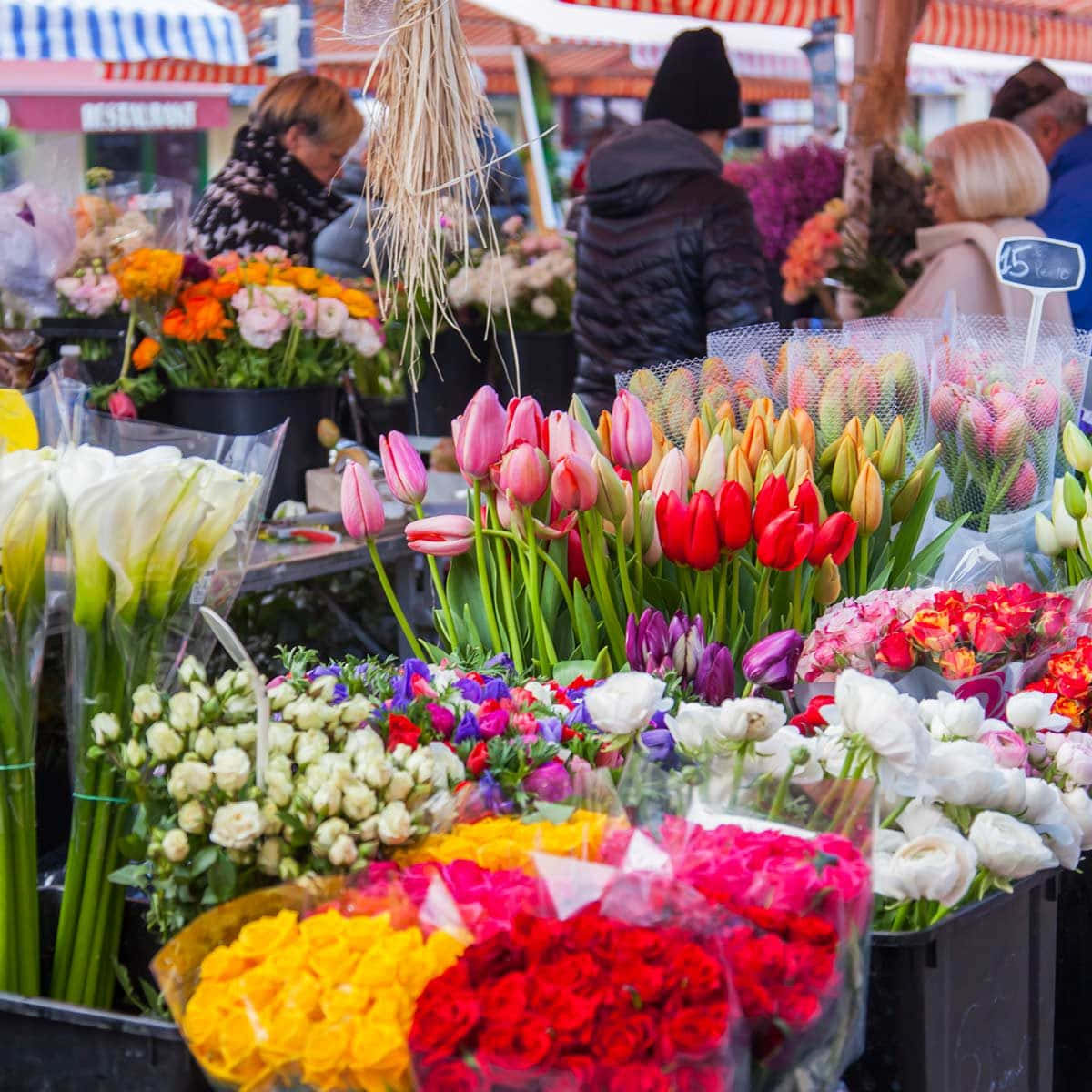 flower market, tulips, roses, SD Desktop Wallpaper