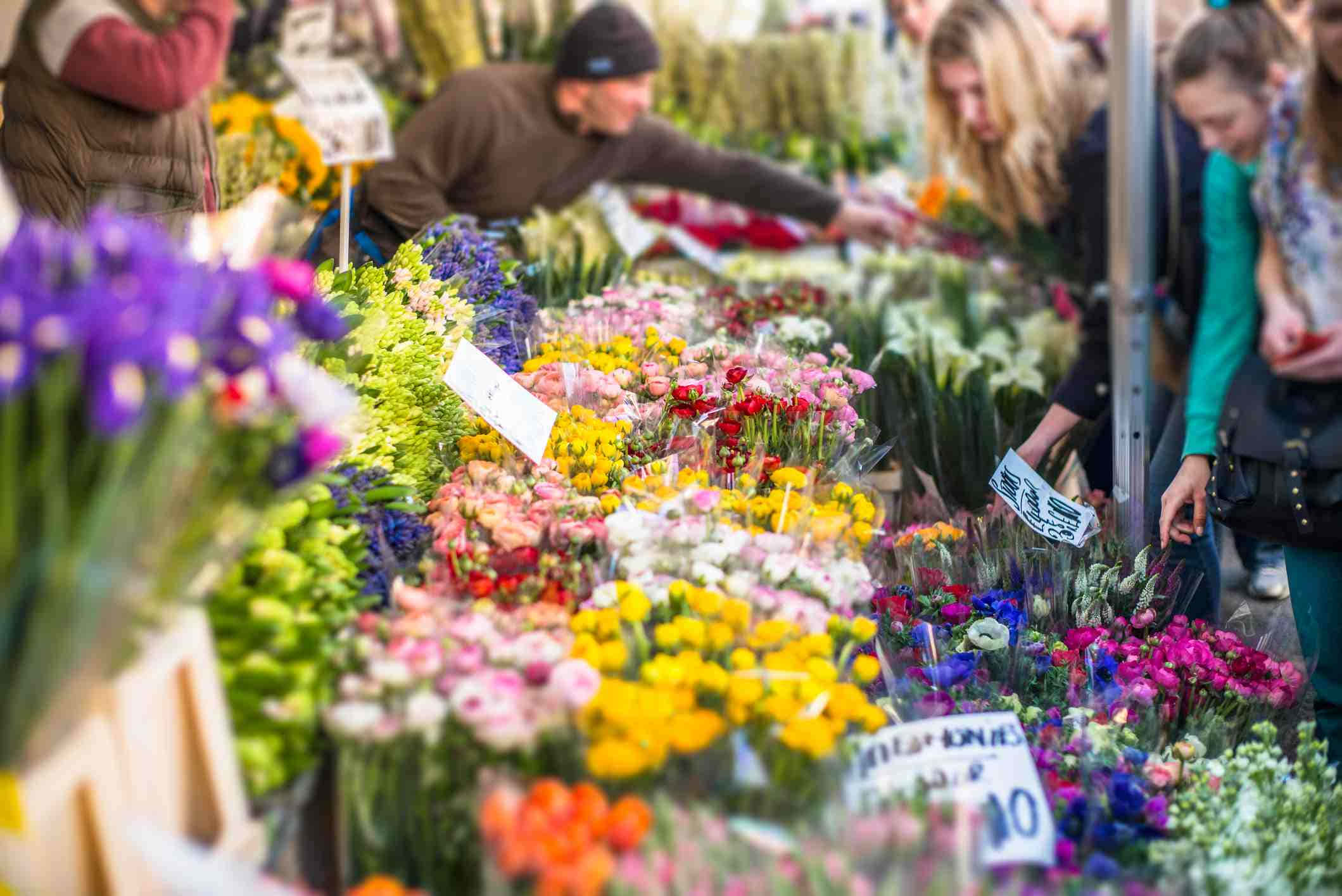 flower market, bustling market, vibrant blooms, Full HD Desktop Wallpaper