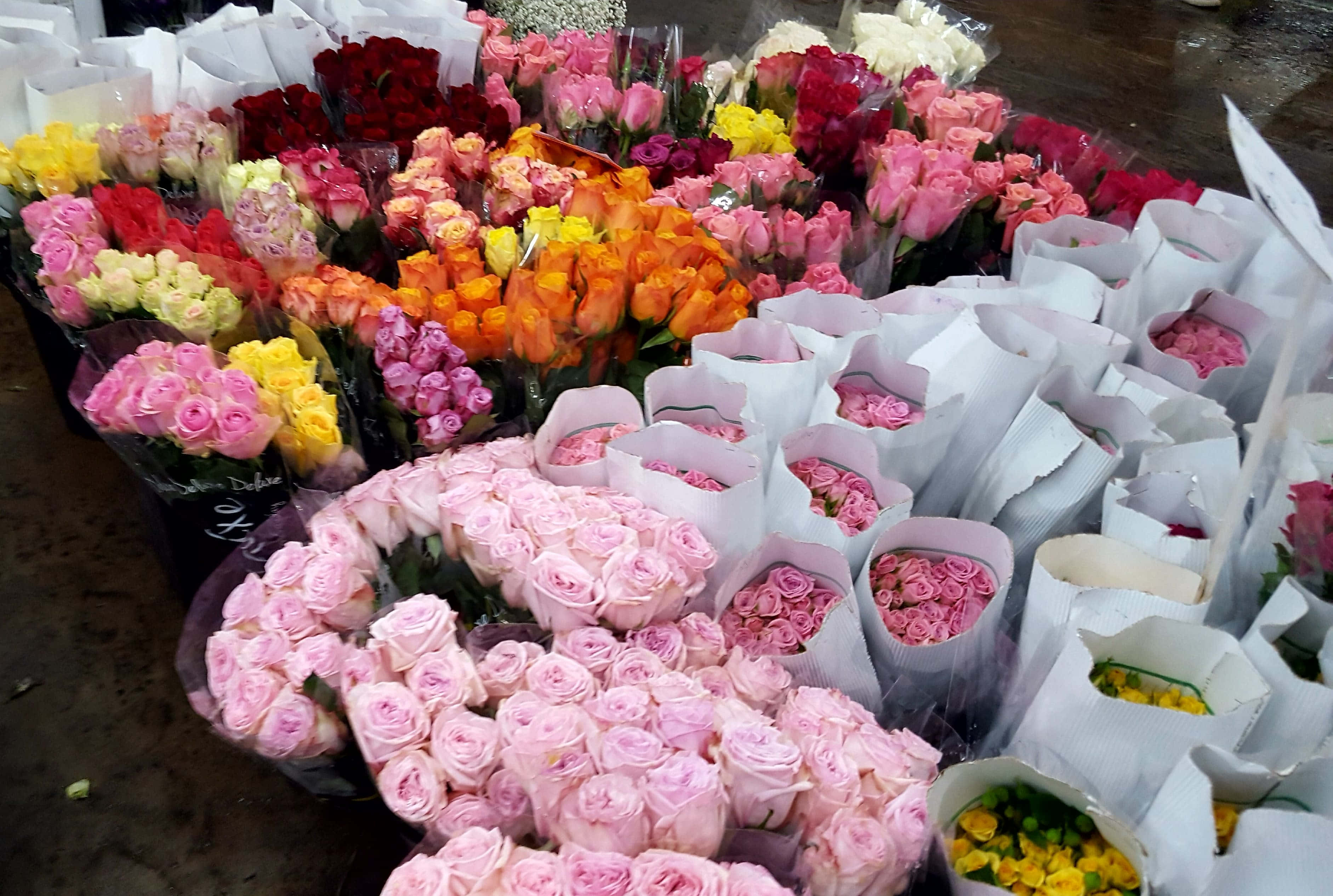 flower market, roses, pink, 2K Desktop Wallpaper