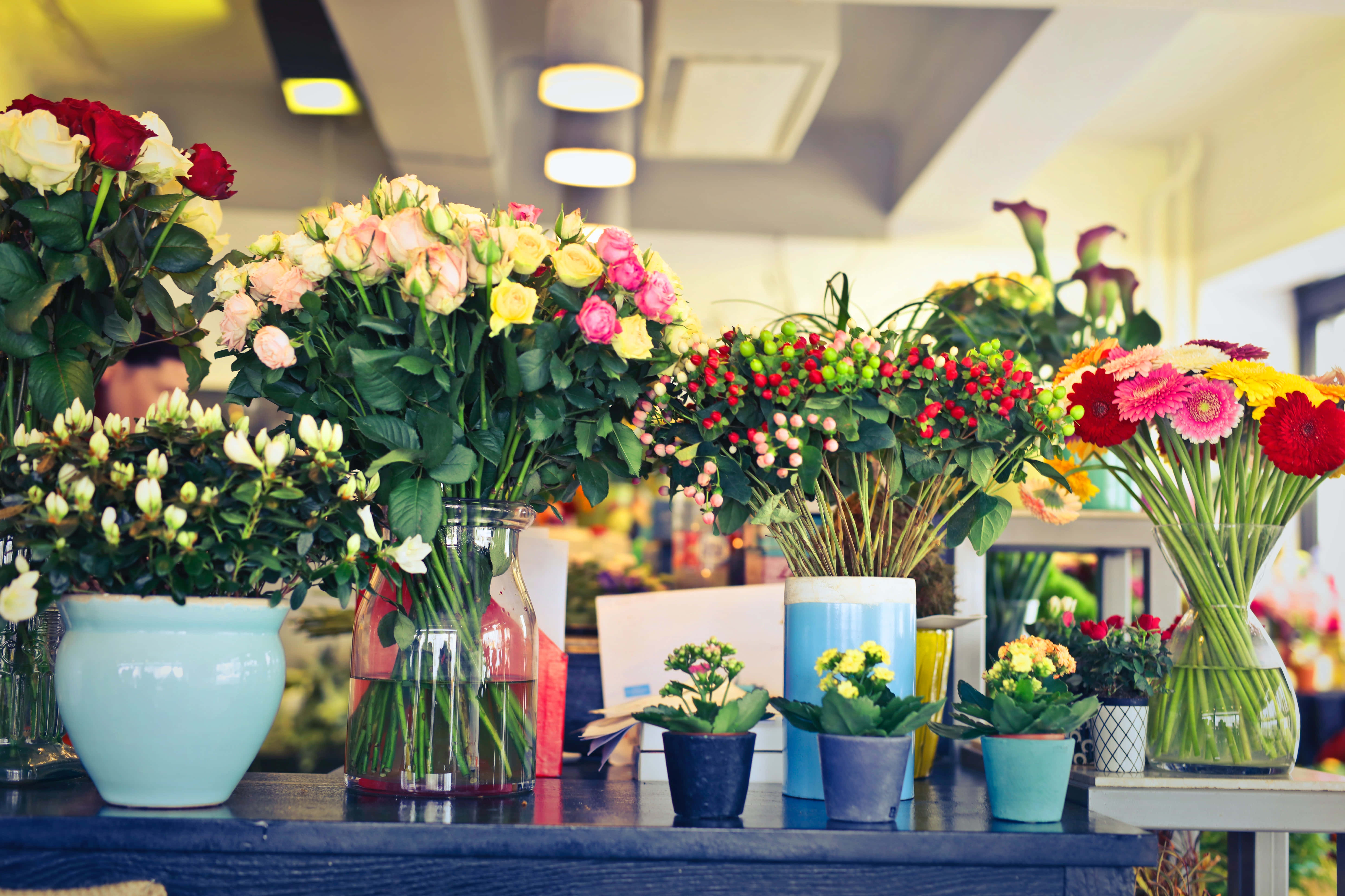 Flower Shop, roses, gerberas, 5K Desktop Wallpaper