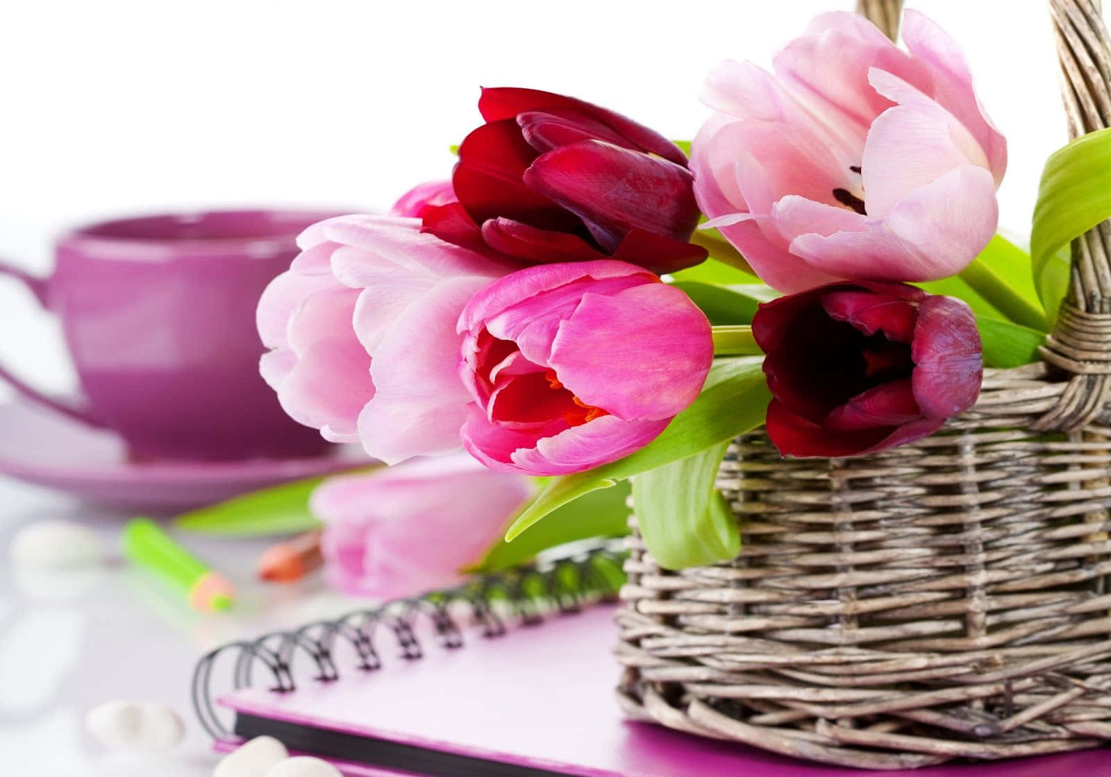 florist, wicker basket, vibrant pink tulips, HD Desktop Wallpaper