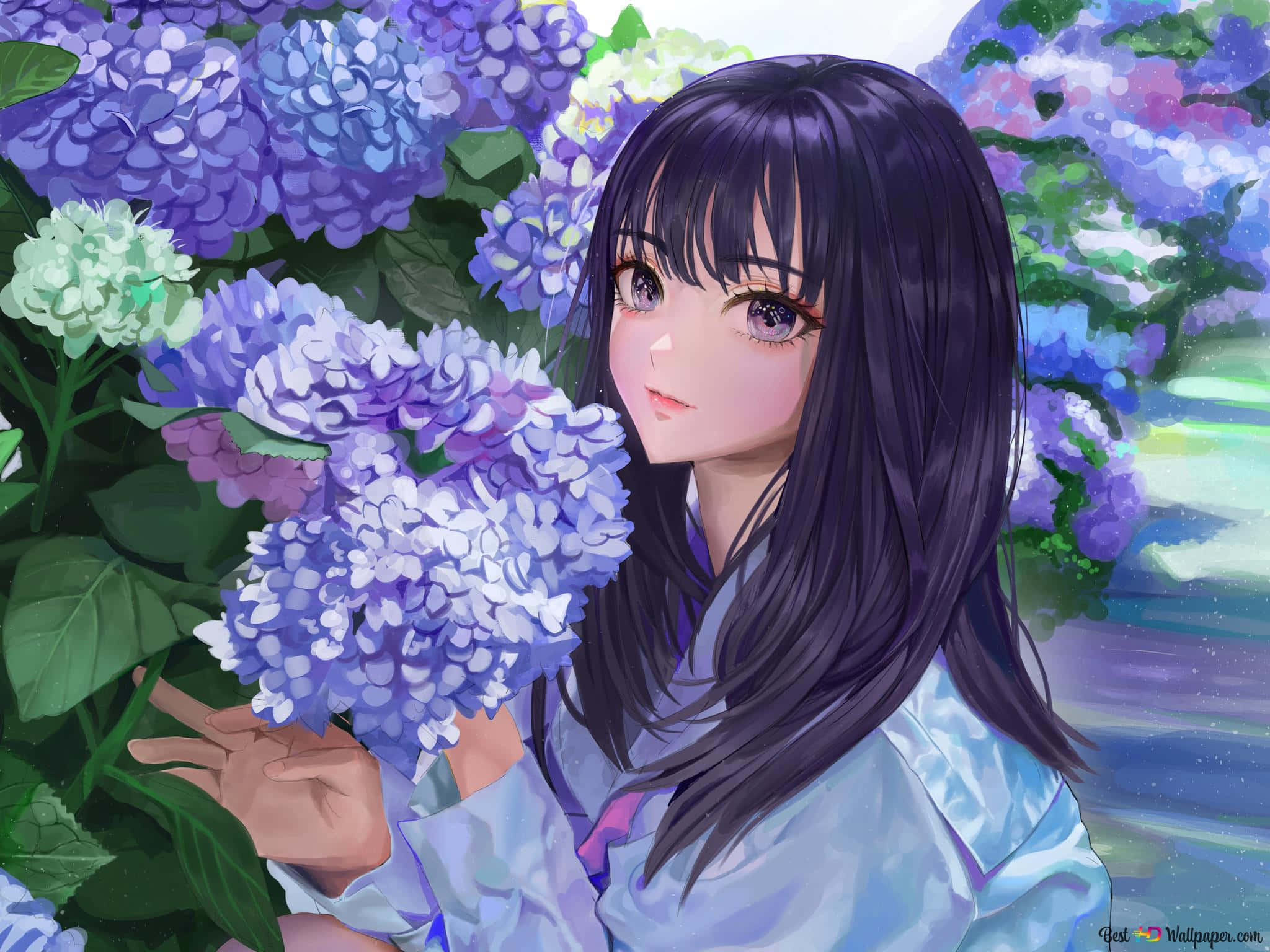 anime flower, purple hydrangeas, dark hair, Full HD Desktop Wallpaper