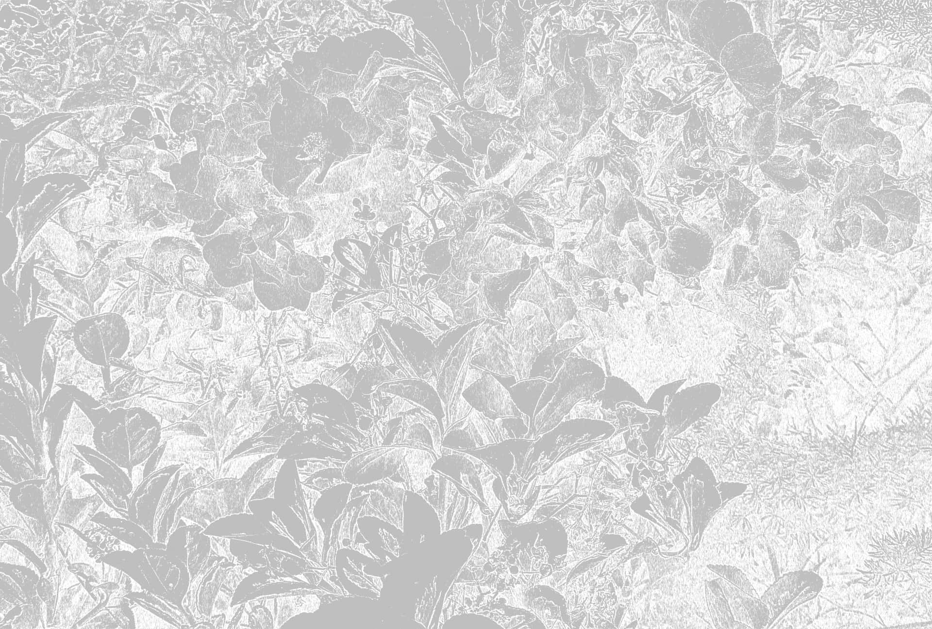 white floral texture background, monochromatic floral wallpaper, delicate leaf and bloom silhouettes, Full HD Desktop Wallpaper