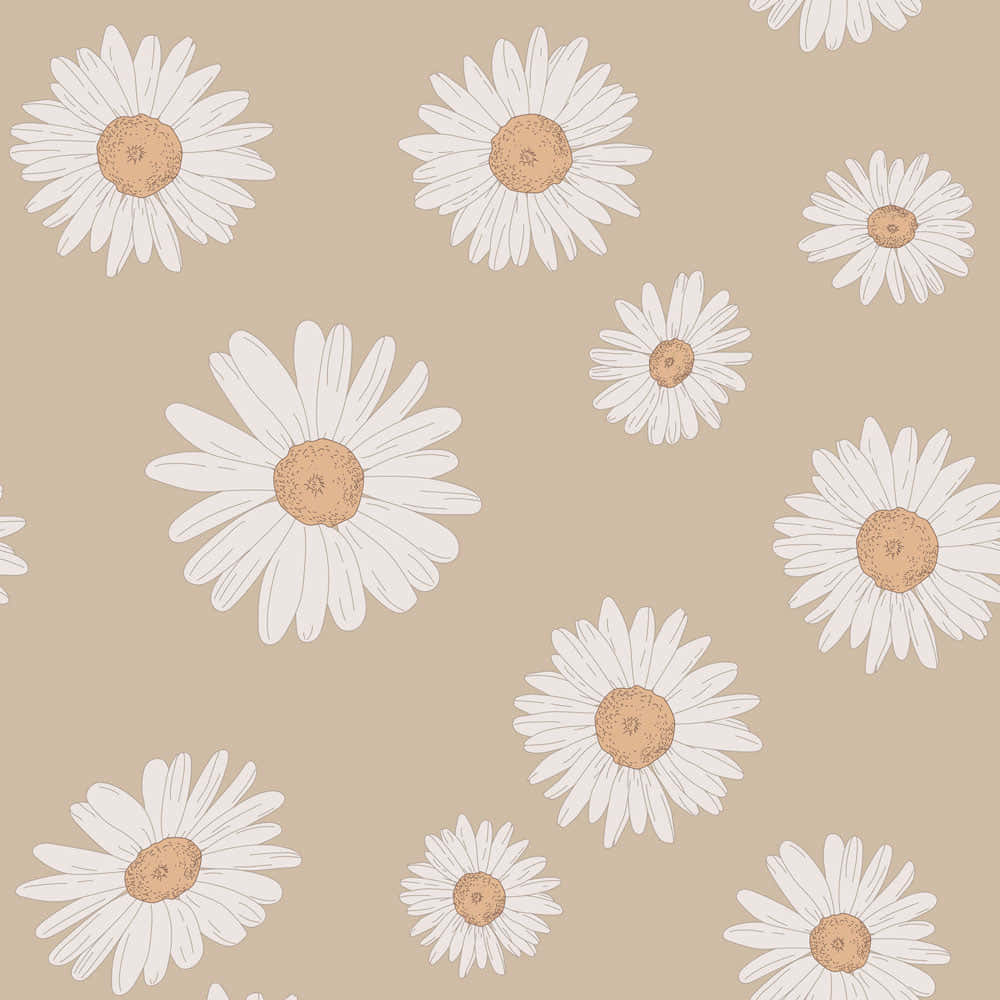 beige daisy pattern, white petals, beige centers, SD Desktop Wallpaper