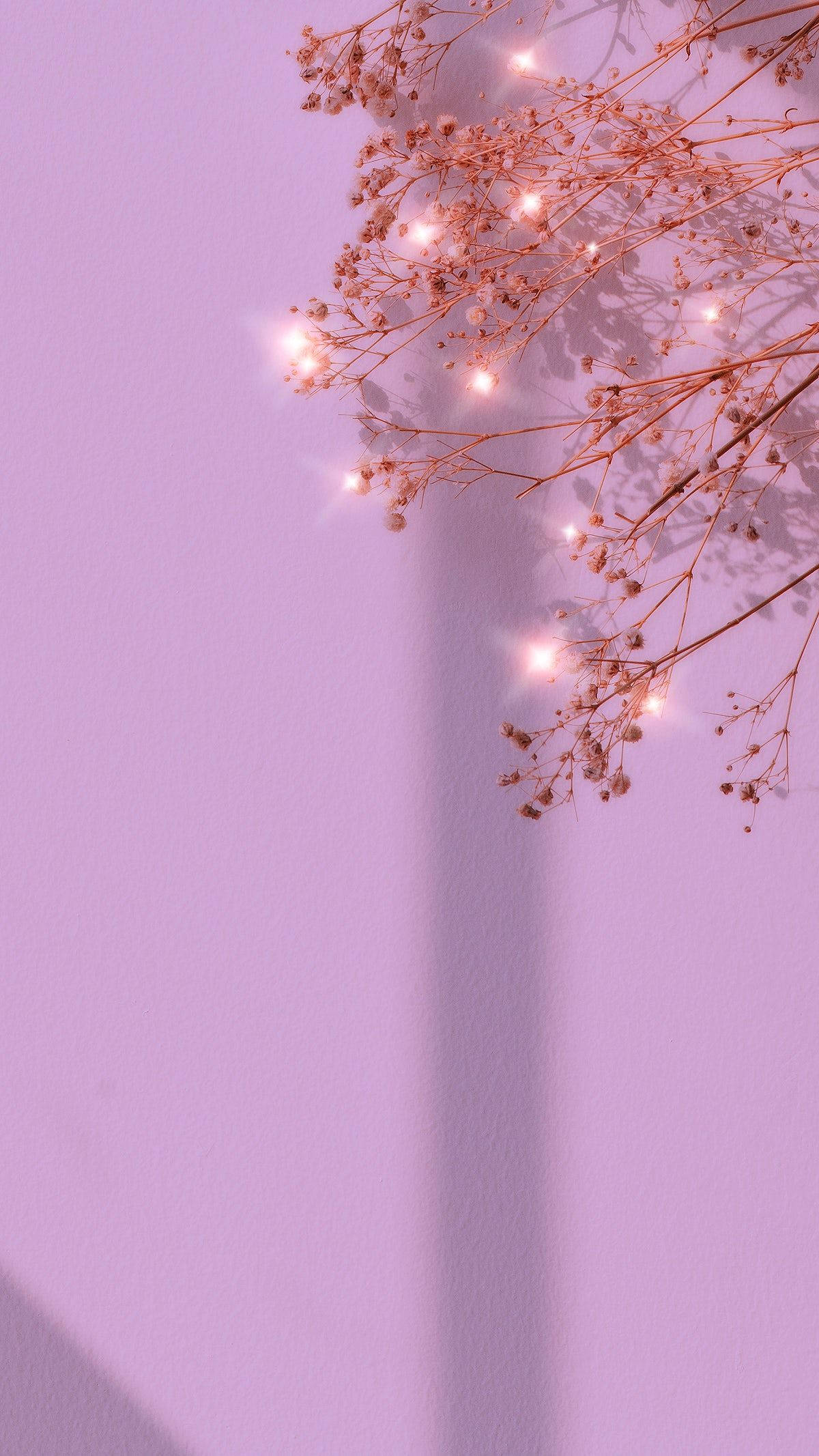 lavender wall, delicate dried flower branches, glowing lights, Full HD Phone Wallpaper