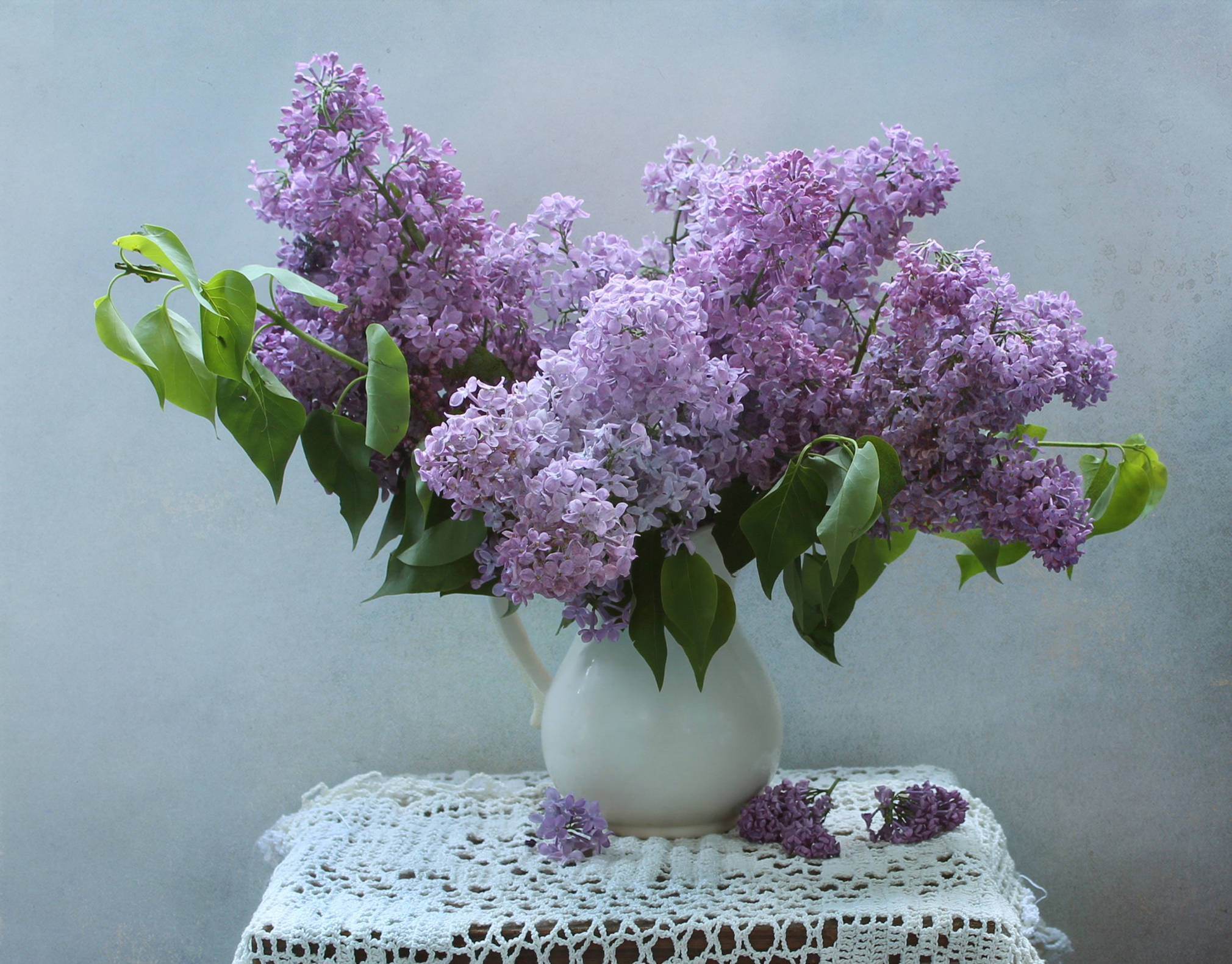 lilac flowers, flower vase, white ceramic pitcher, Full HD Desktop Wallpaper