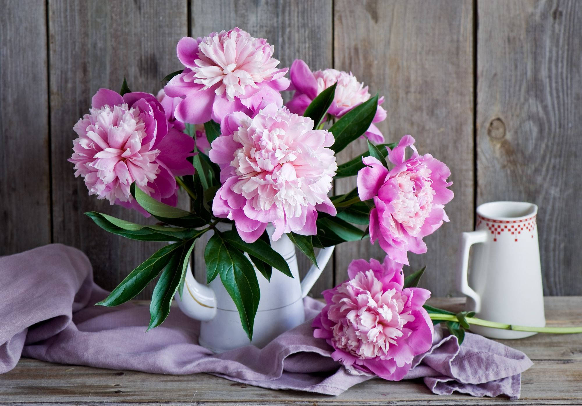 pink peonies, white pitcher, rustic wooden table, Full HD Desktop Wallpaper
