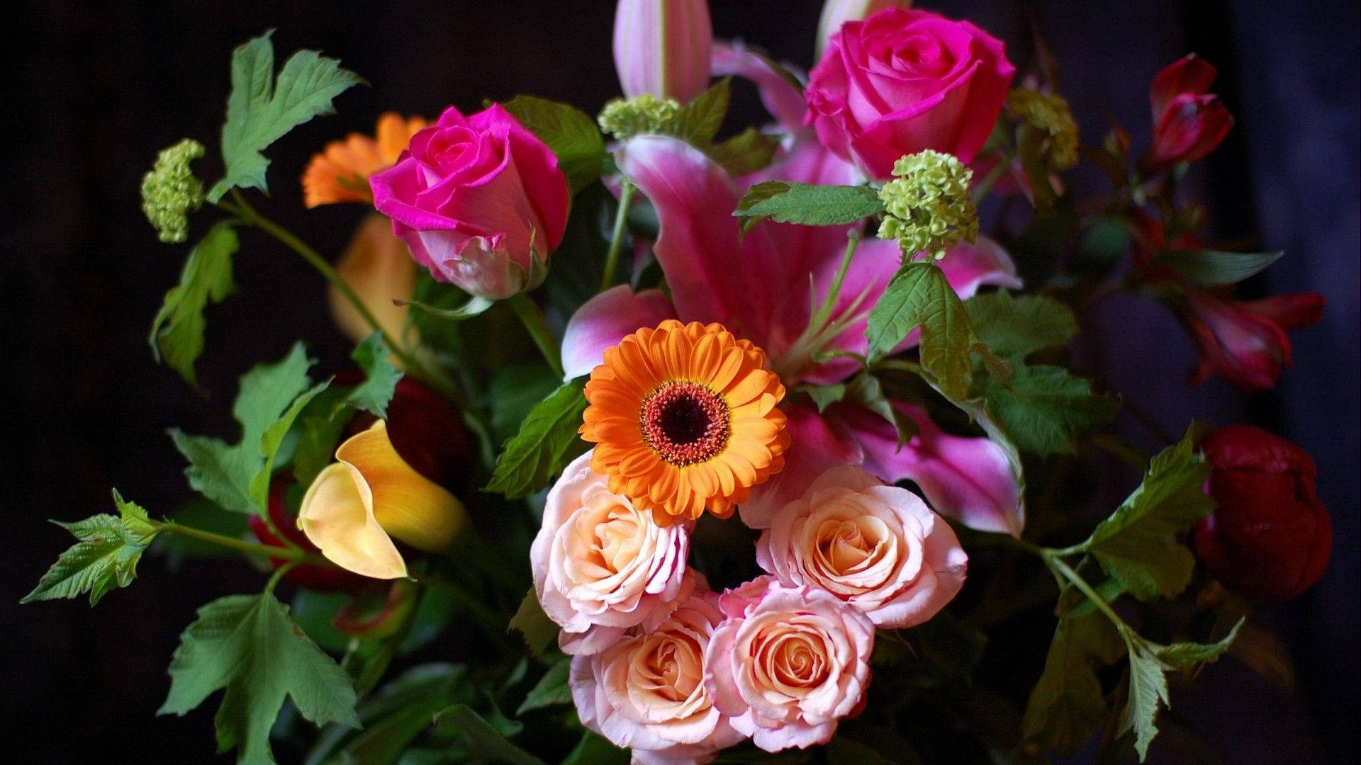 sunflower and roses, pink roses, peach roses, Full HD Desktop Wallpaper