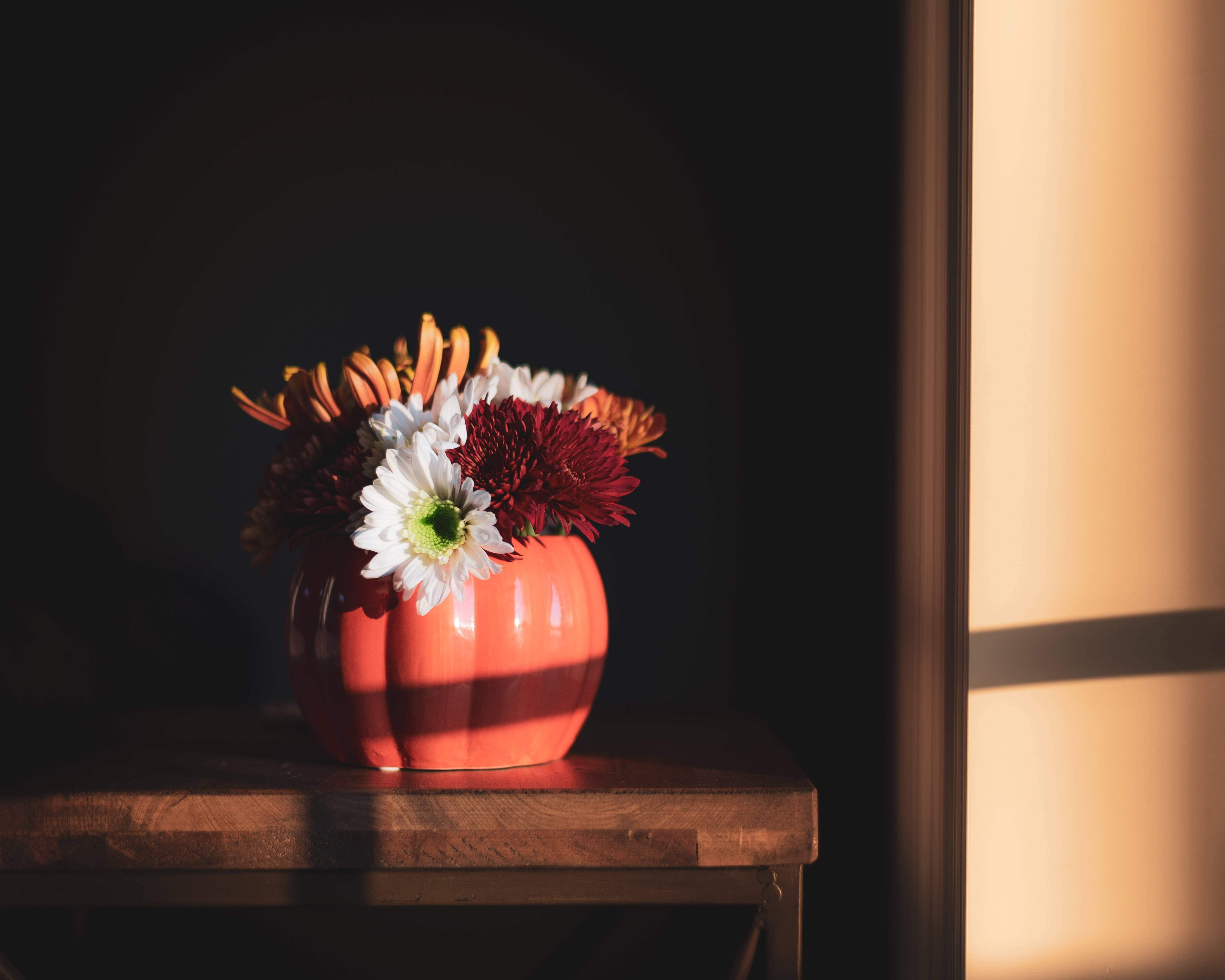 cute pumpkin shaped flower vase, terracotta vase, autumn chrysanthemums, 4K Desktop Wallpaper