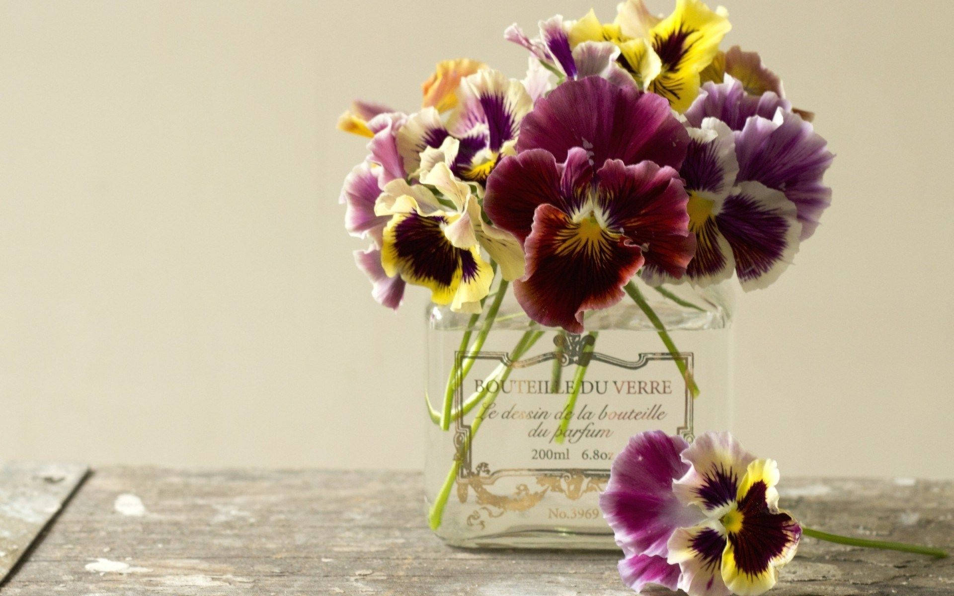 vintage glass perfume bottle, vibrant purple yellow and white pansies, weathered wooden surface, Full HD Desktop Wallpaper