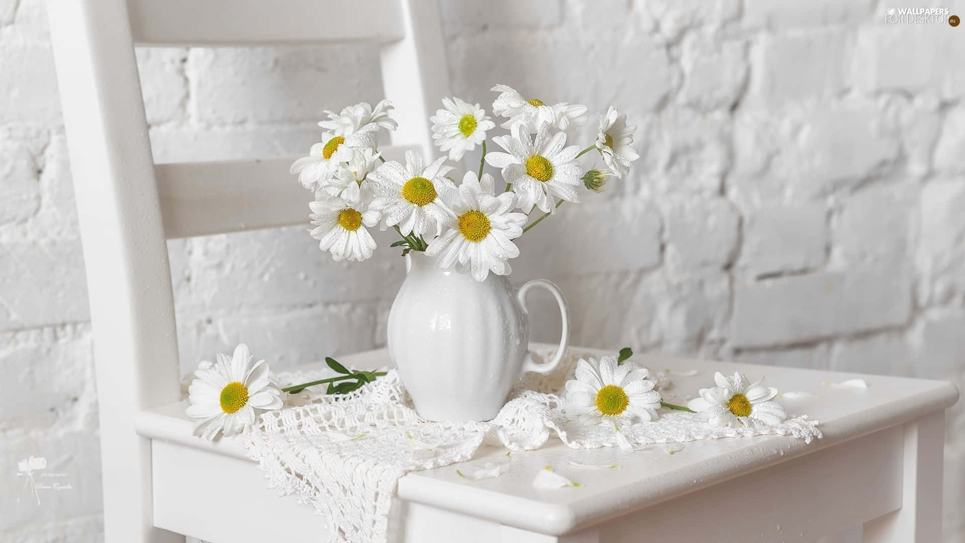 white ceramic vase, fresh daisies, white chair, Full HD Desktop Wallpaper
