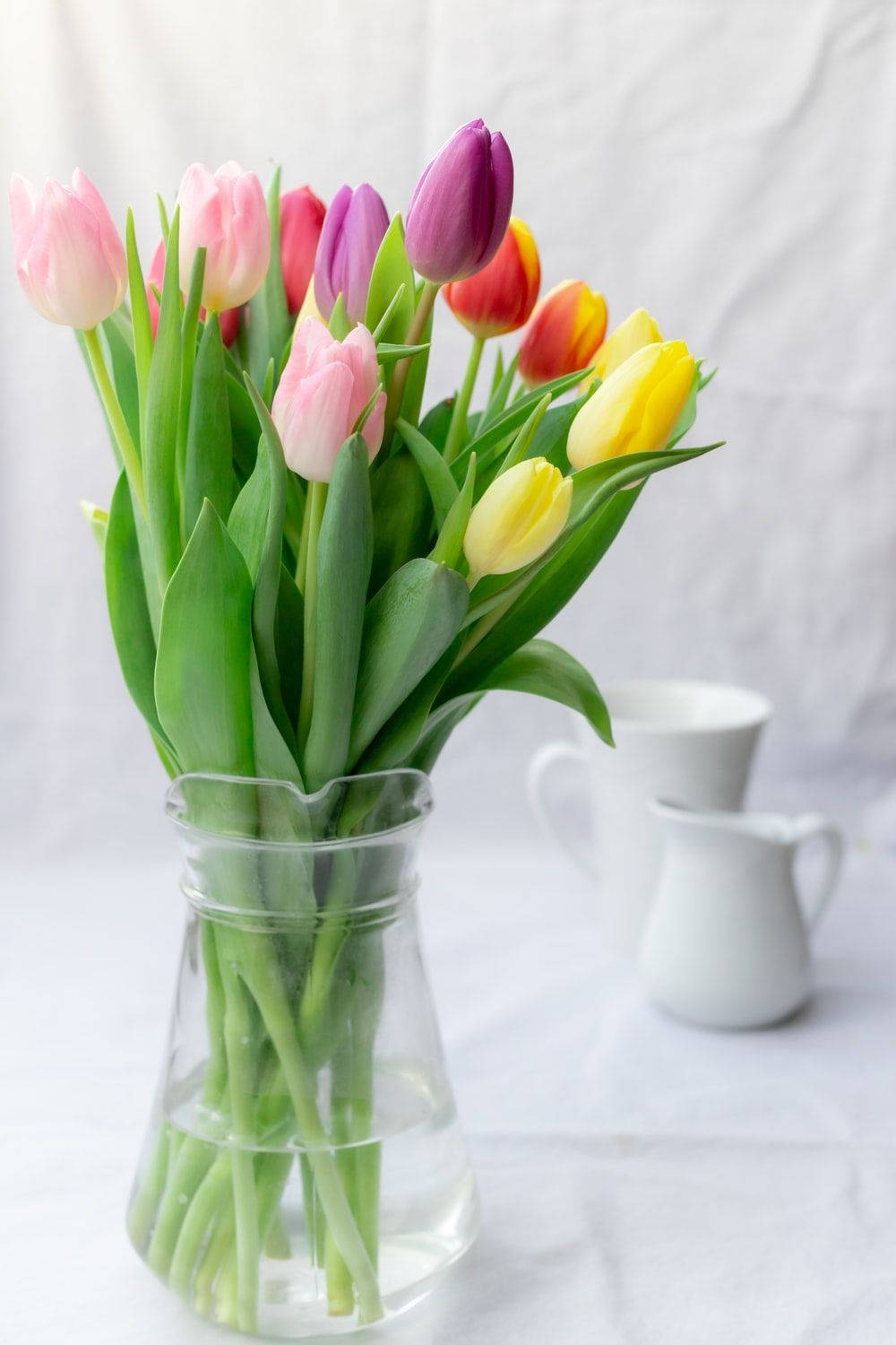 colorful tulips, flower vase, clear glass vase, HD Phone Wallpaper