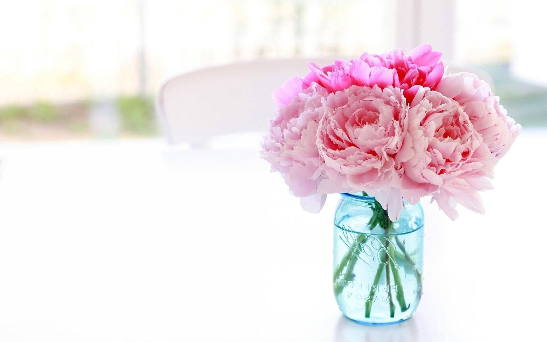 pink peonies, blue glass jar, white table, Full HD Desktop Wallpaper