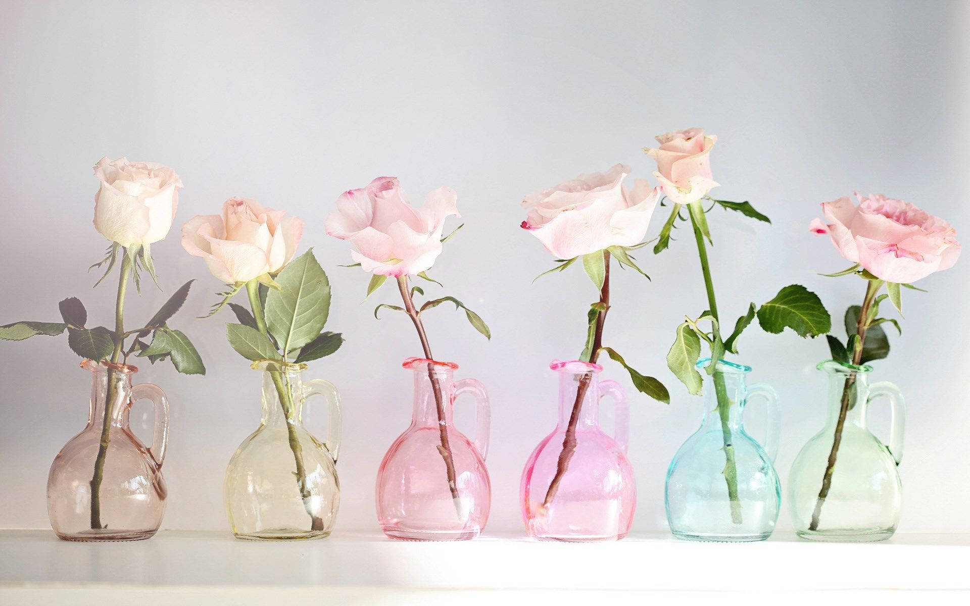 pink roses, colorful glass vases, white shelf, Full HD Desktop Wallpaper