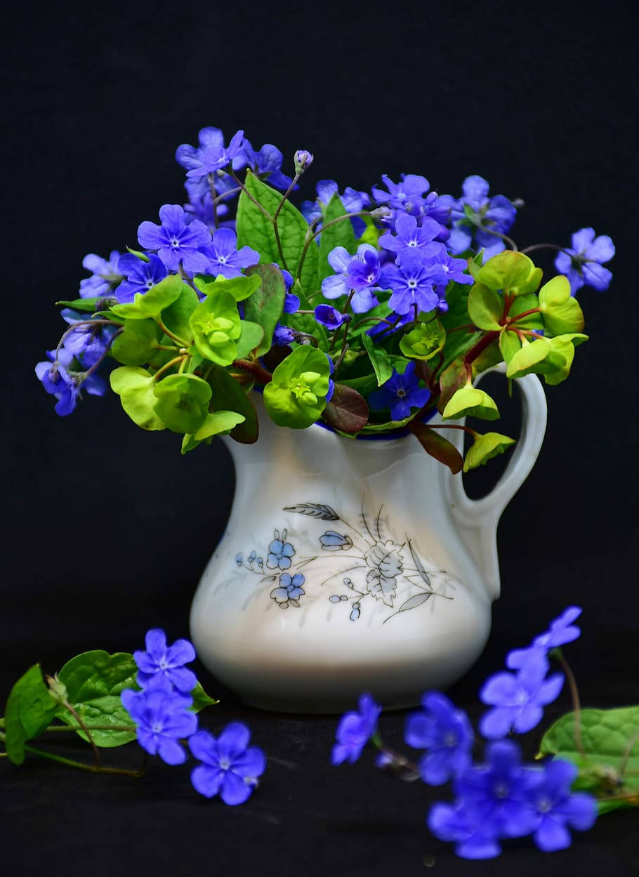 vintage vase, blue flower, white ceramic pitcher, SD Phone Wallpaper