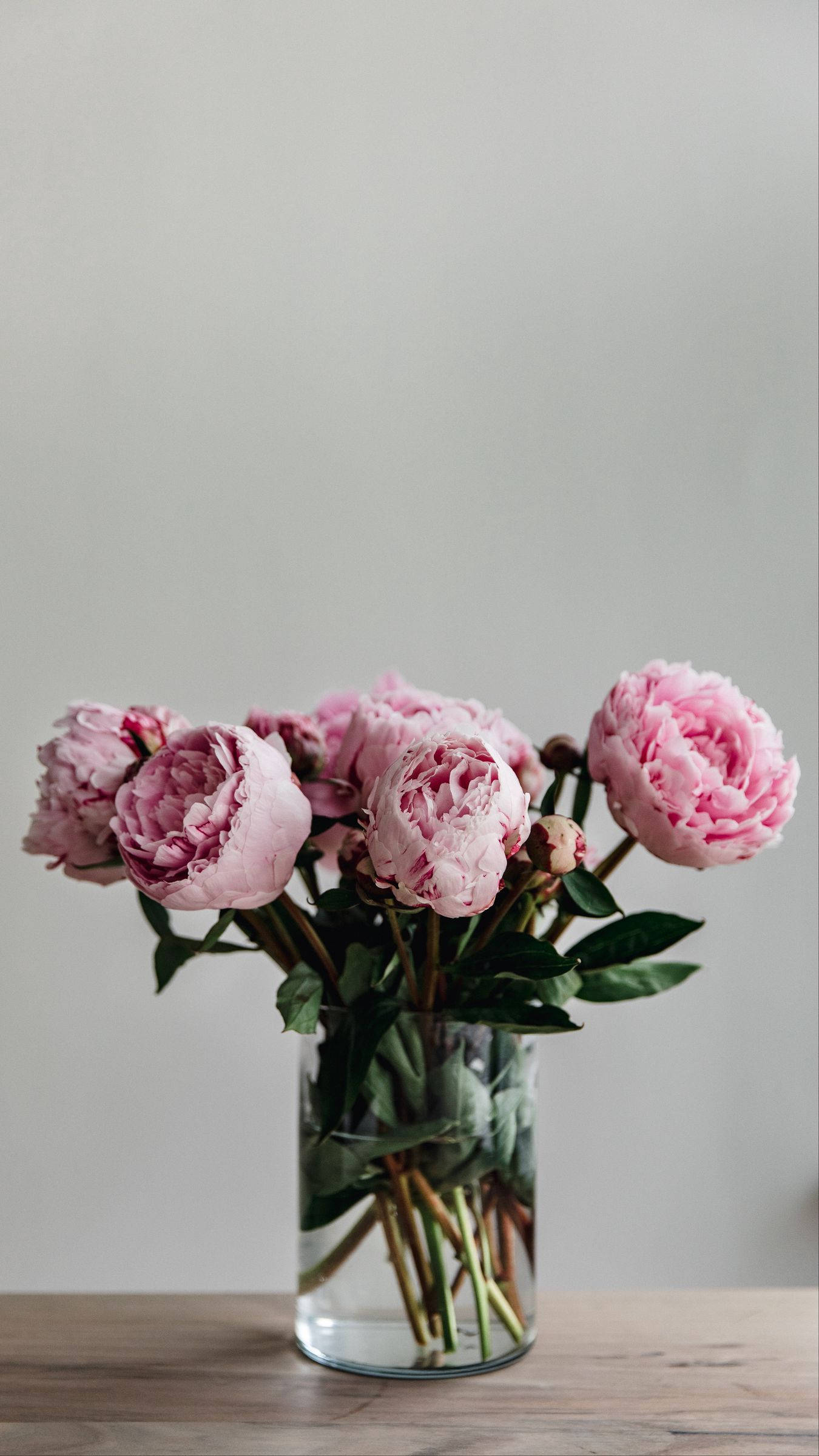 peony flowers, clear glass vase, wooden desk, Full HD Phone Wallpaper