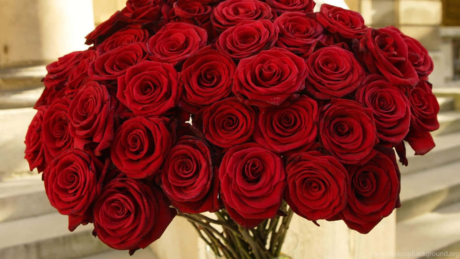 red roses, laptop, heart-shaped cluster, HD Desktop Wallpaper