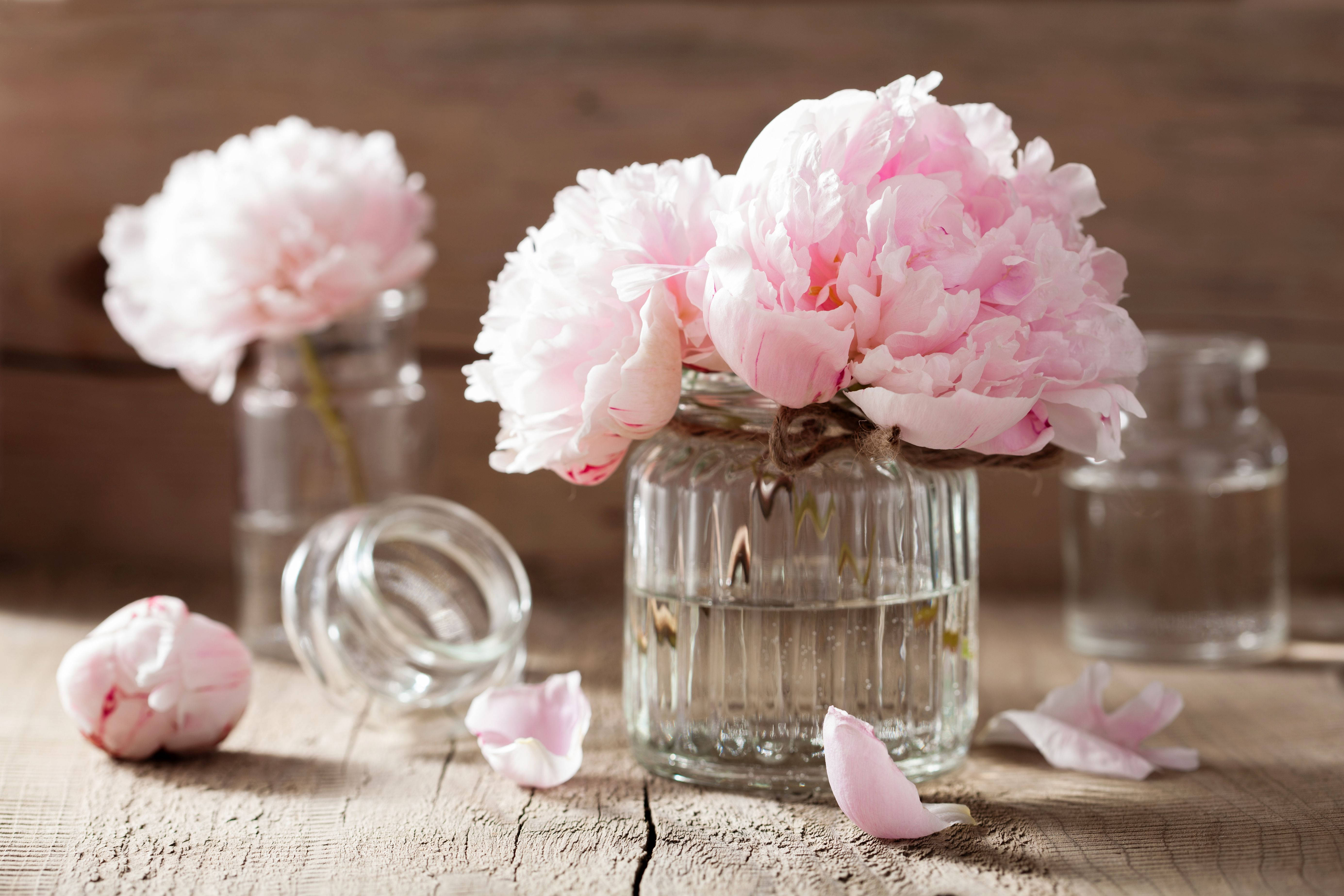 pink peony flowers, glass jars, weathered wooden table, 5K Desktop Wallpaper