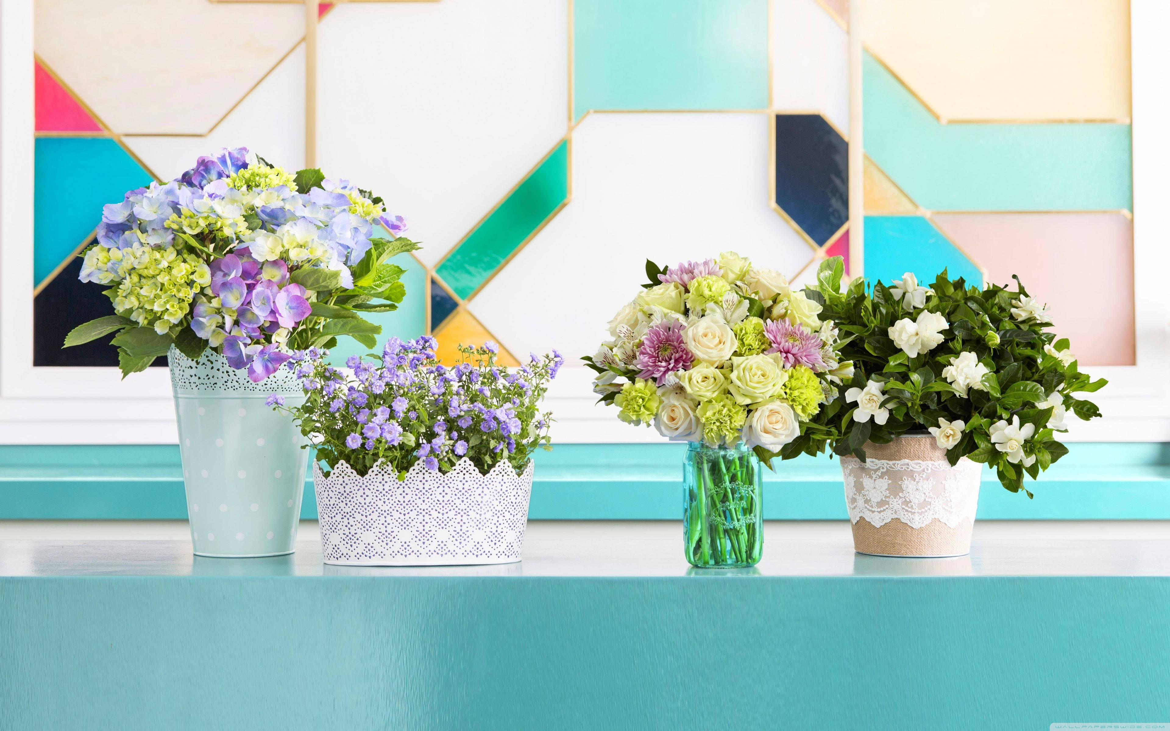 vase flowers aesthetic, turquoise shelf, decorative pots, 4K Desktop Wallpaper