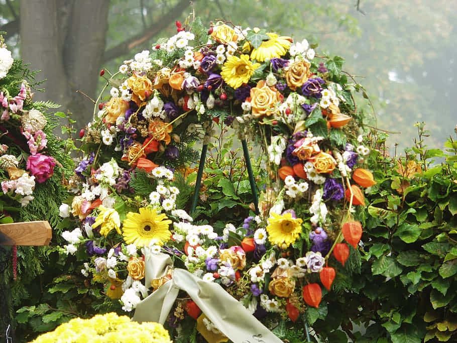 colorful flower wreath, foggy background, yellow daisies, SD Desktop Wallpaper
