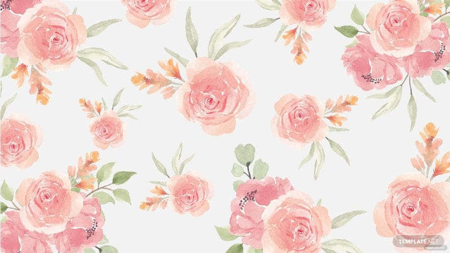 blush pink, peach, pale cream, SD Desktop Wallpaper