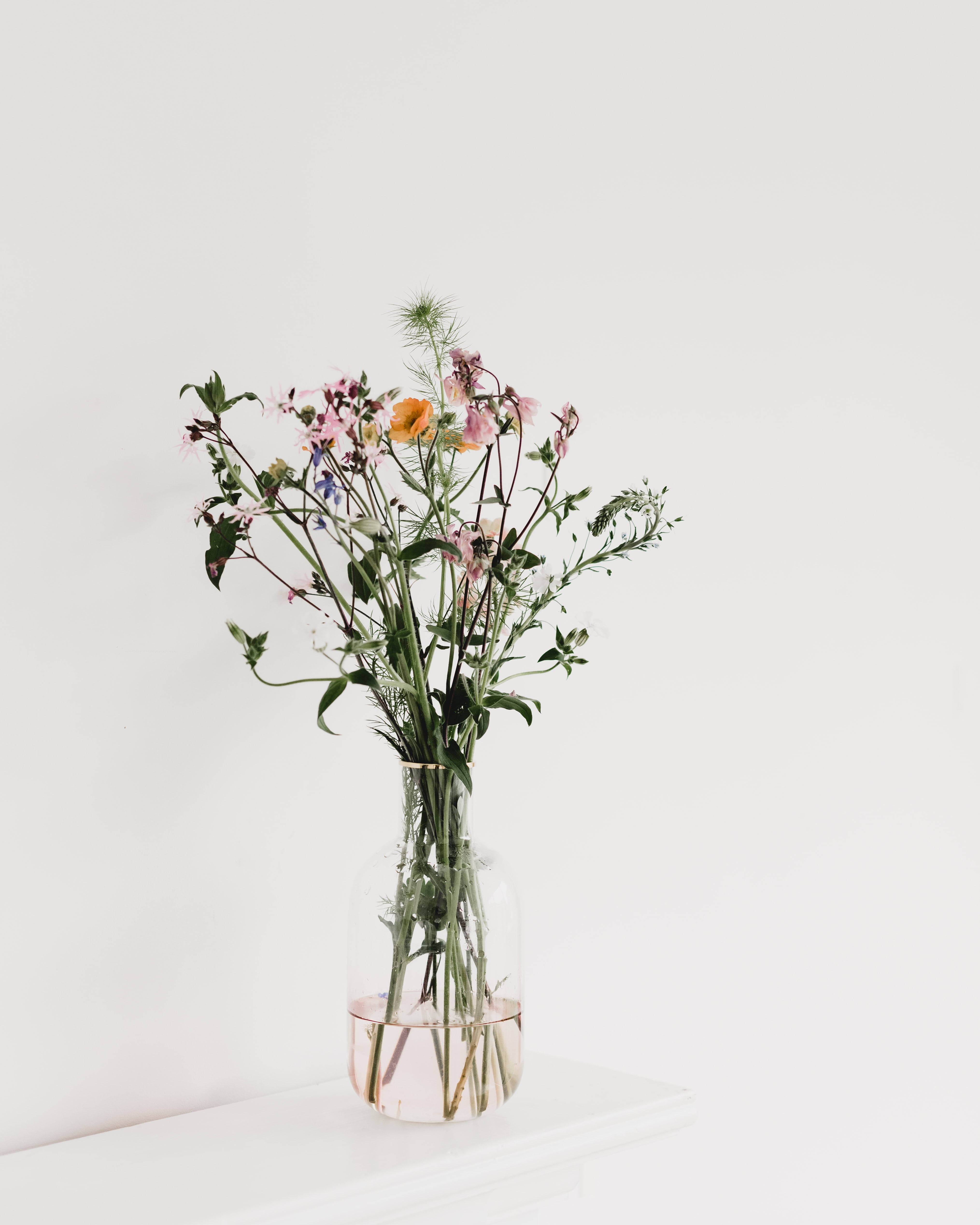 submerged flowers aesthetic, clear glass vase, water, 4K Phone Wallpaper
