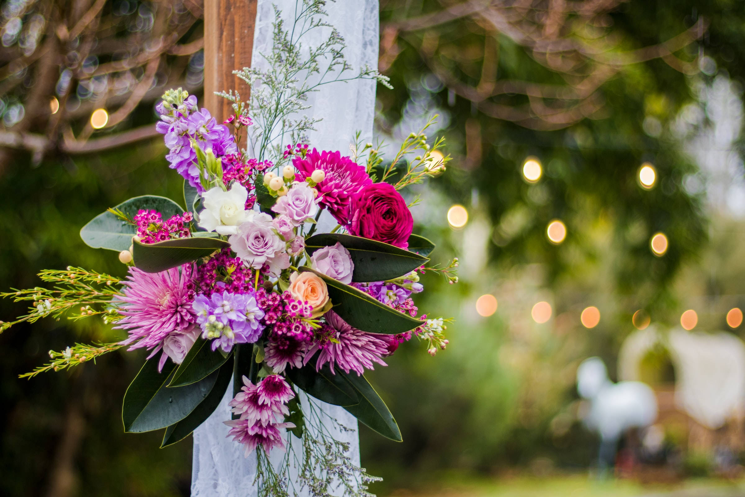 powder puff, hoary stock flower, white draped pole, Full HD Desktop Wallpaper