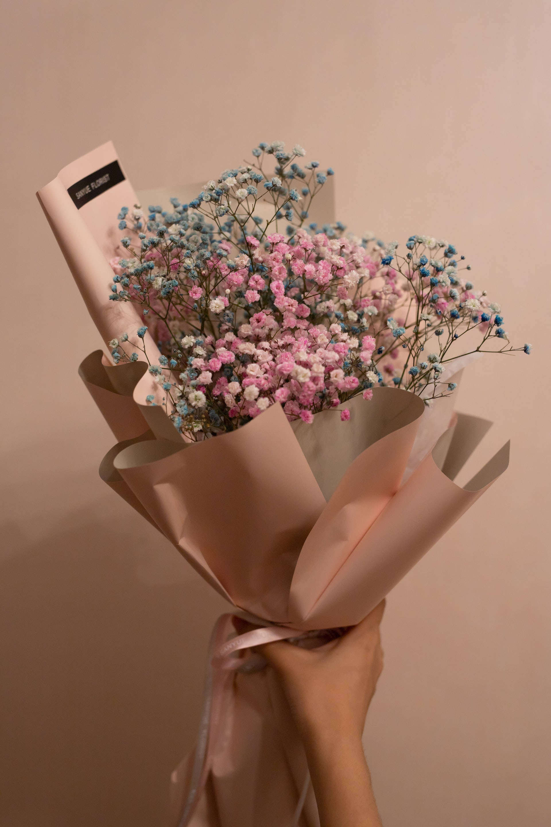 pink and blue common baby's breaths flower bouquet, baby's breath, soft pink paper, 2K Phone Wallpaper