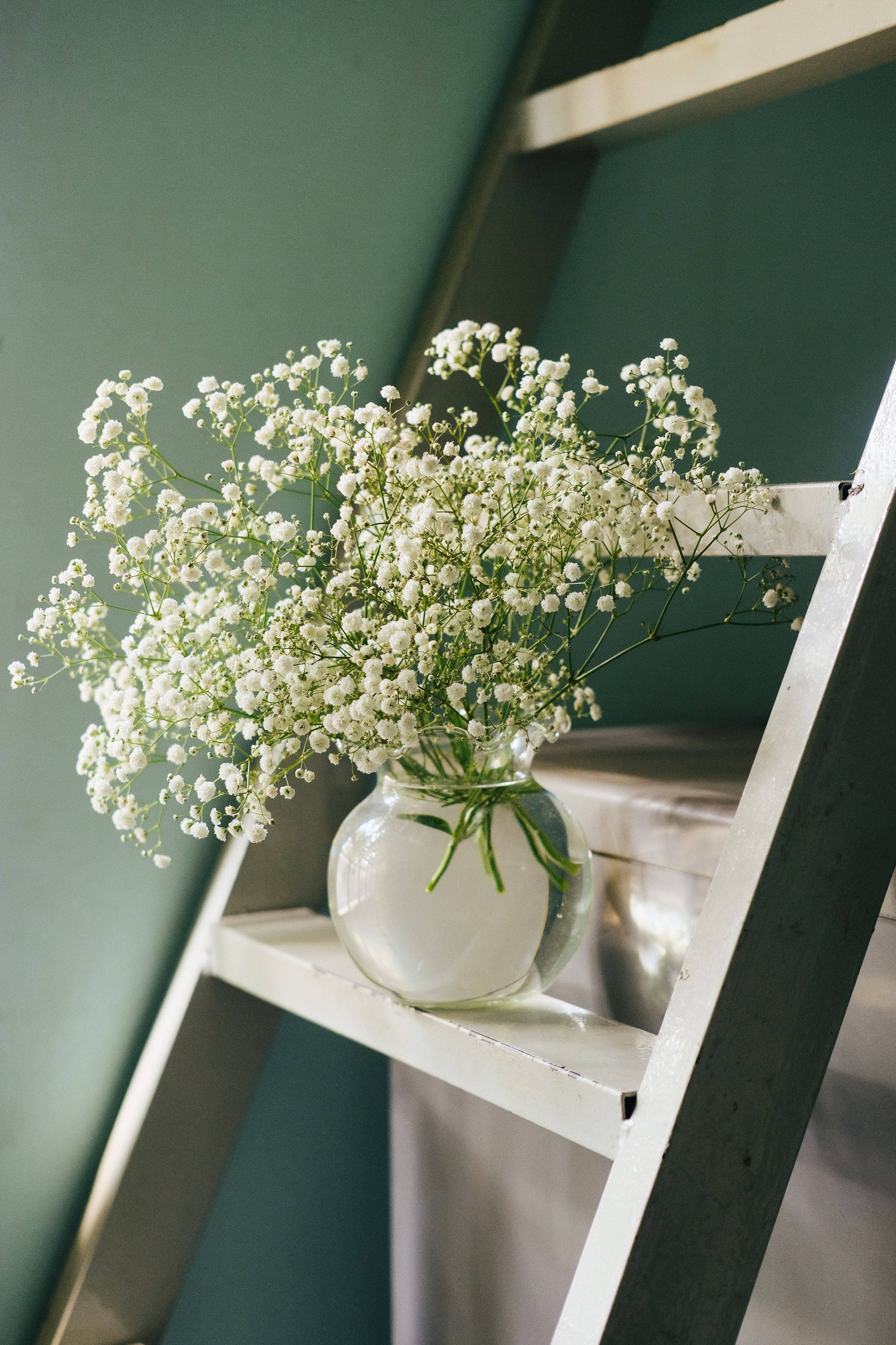 white wooden ladder, clear glass vase, delicate white baby's breath flowers, 5K Phone Wallpaper