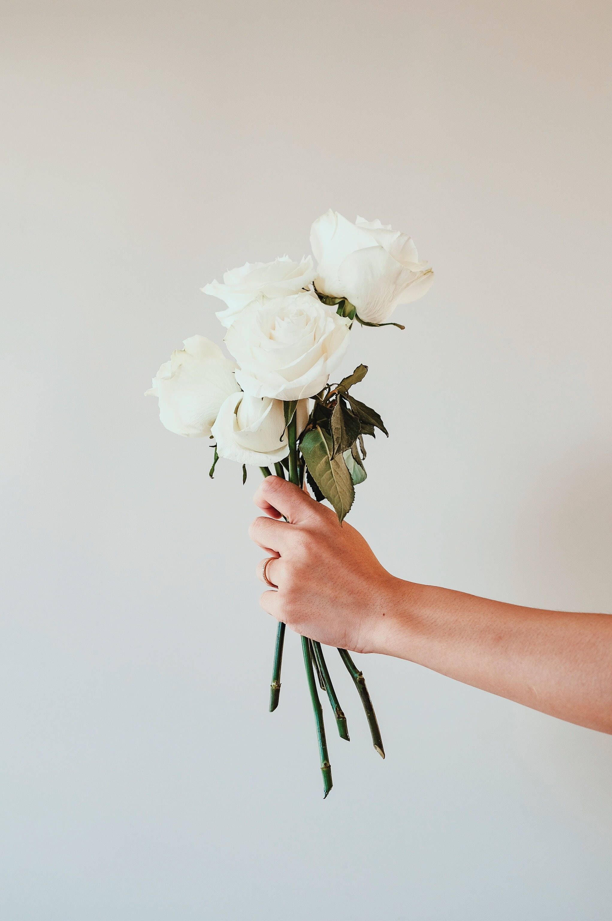white rose, bouquet, soft neutral background, 2K Phone Wallpaper