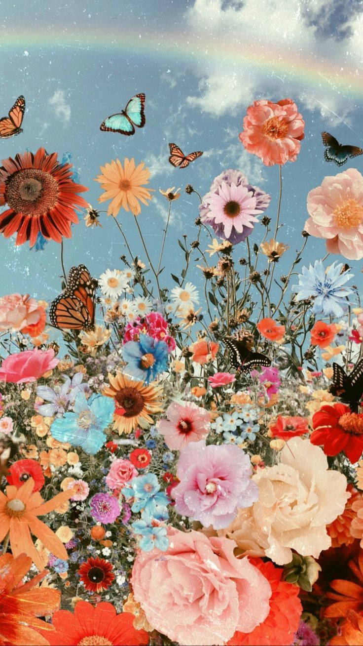 butterflies, rainbow, wildflowers, HD Phone Wallpaper