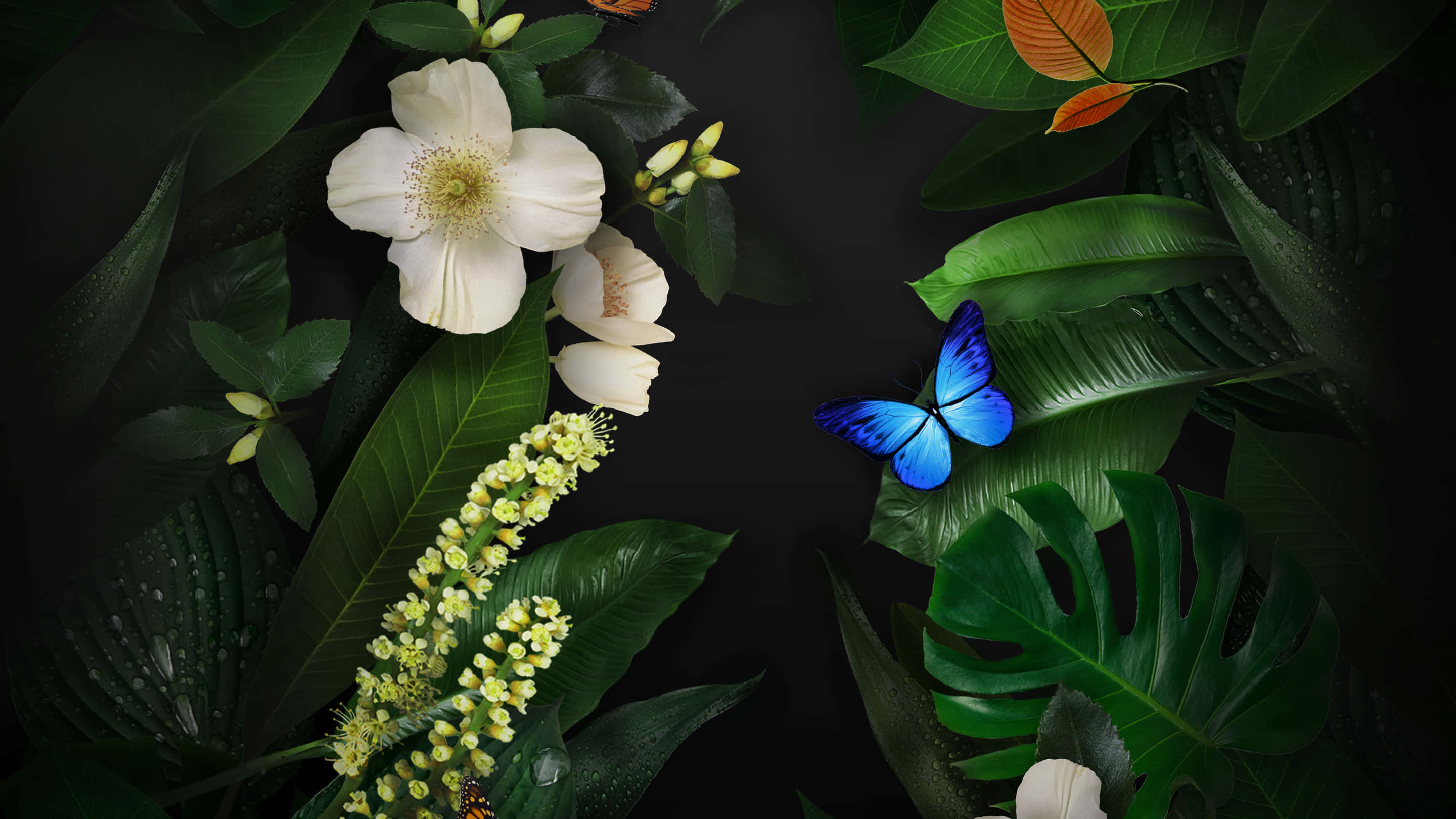 Green Forest, vibrant blue butterfly, lush green leaves, 2K Desktop Wallpaper