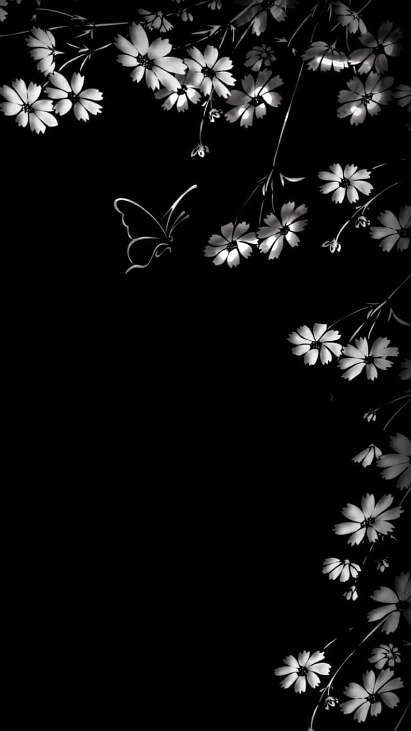 black and white, floral border, delicate blossoms, HD Phone Wallpaper