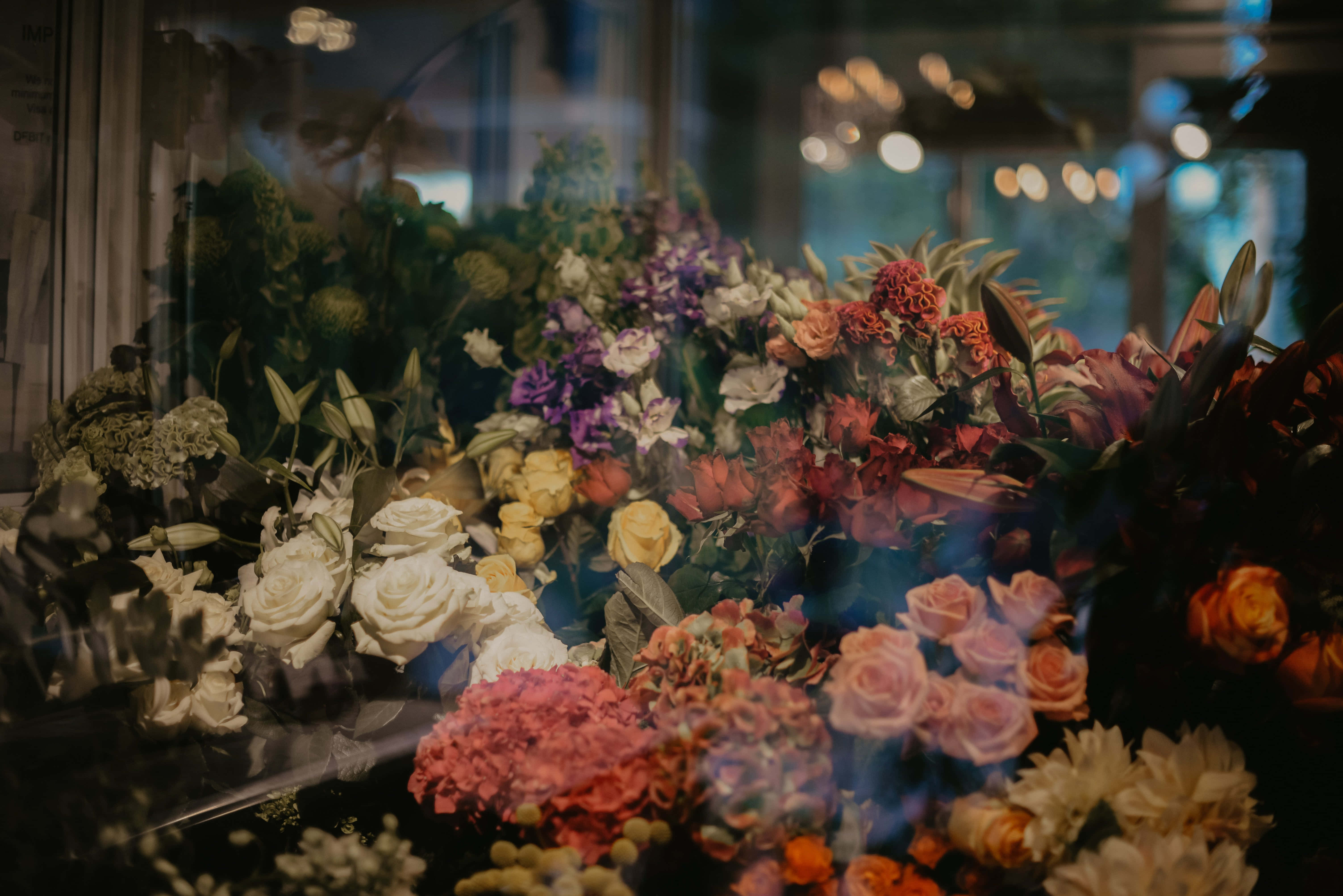 floral display, glass window, bokeh lights, 5K Desktop Wallpaper