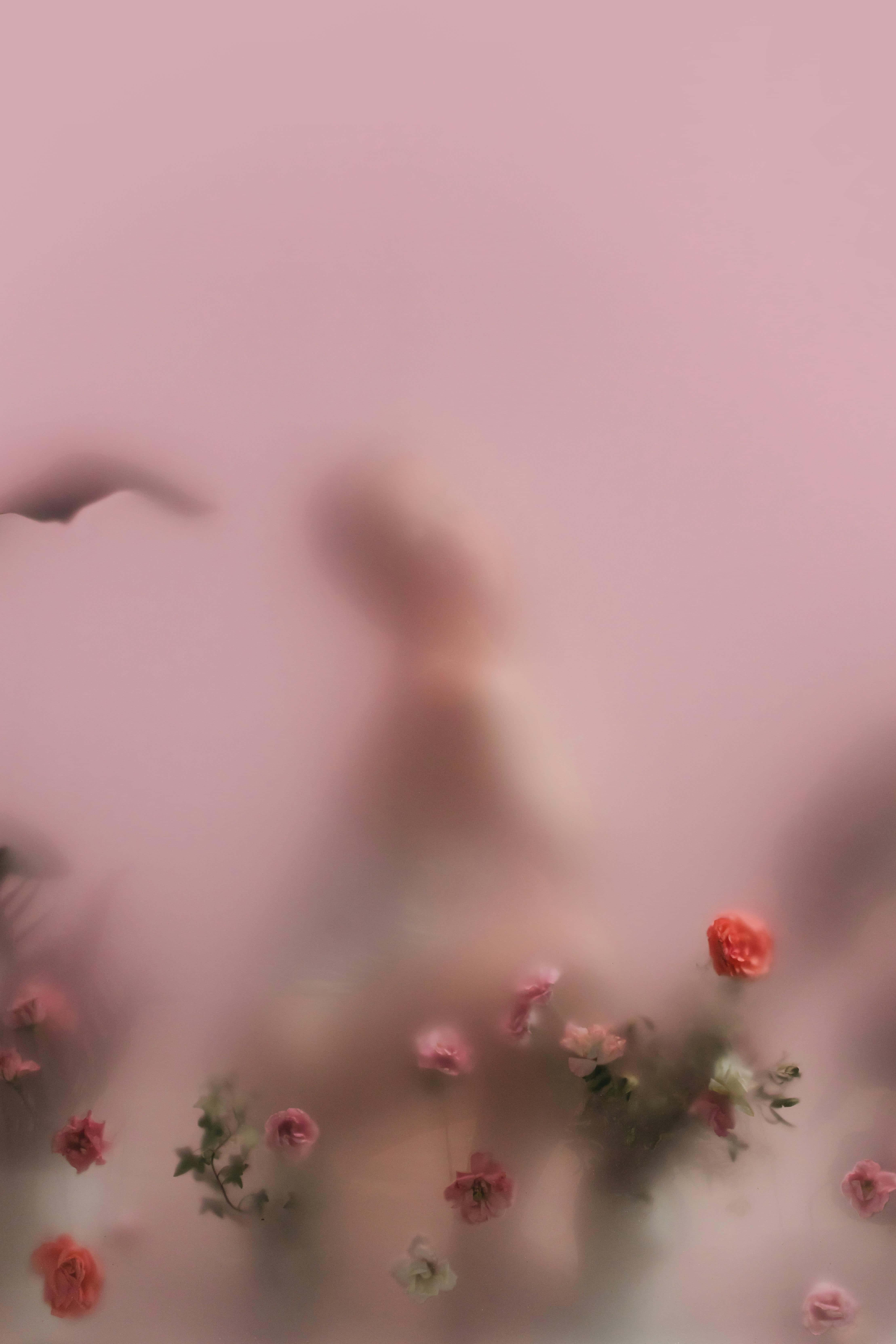 soft pink blurred background, out-of-focus flowers, faint silhouette of a person, 5K Phone Wallpaper