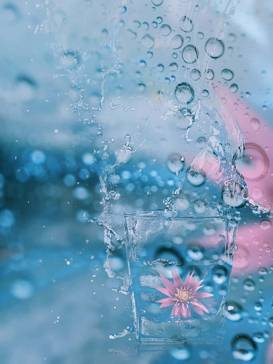 pink lotus flower, glass, water splashes, SD Phone Wallpaper