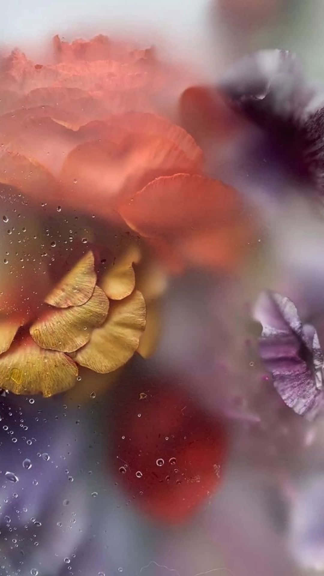 misty floral glass art, warm tones, rain-speckled glass surface, Full HD Phone Wallpaper